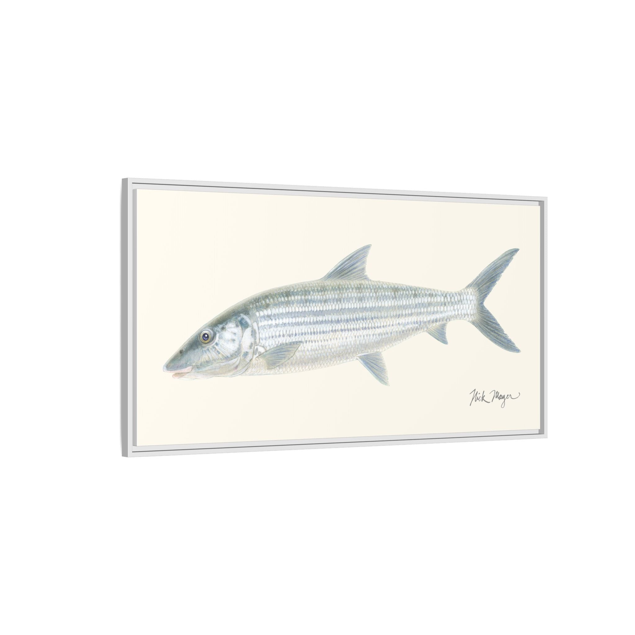 Bonefish Framed Canvas Print Printify