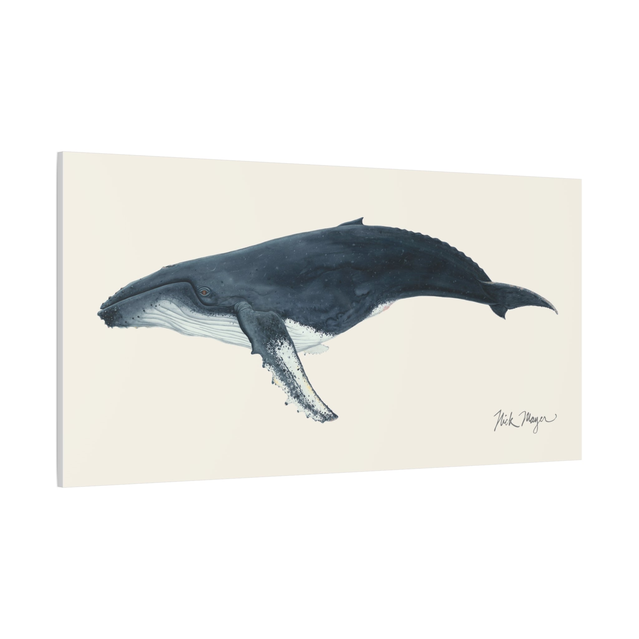 Humpback Whale Canvas Print