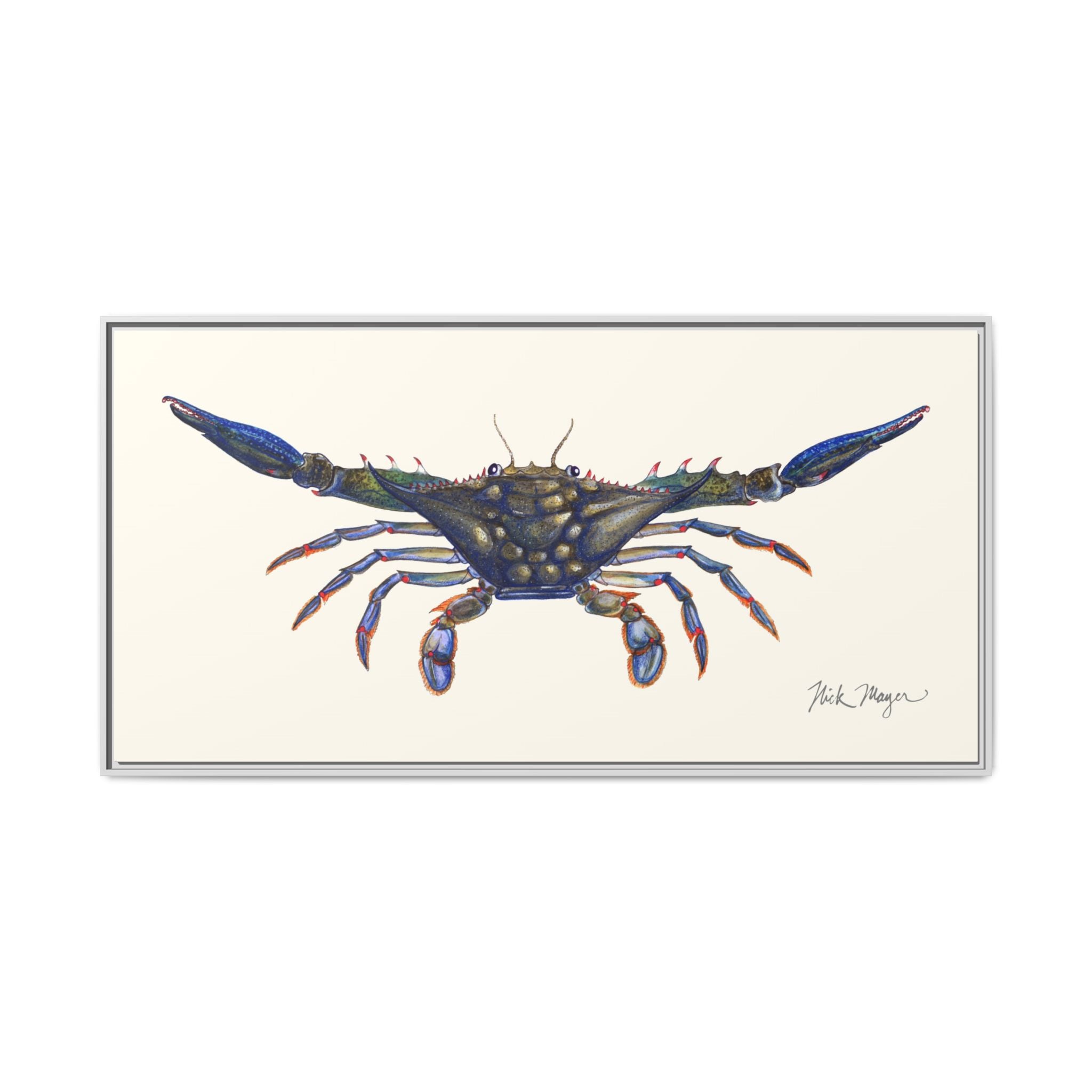 Blue Crab, Claws Out Framed Canvas Print Printify