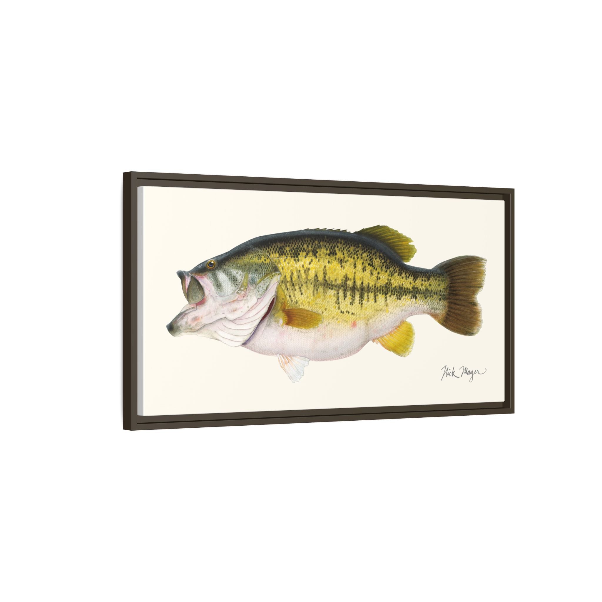 Largemouth Bass II Framed Canvas Print
