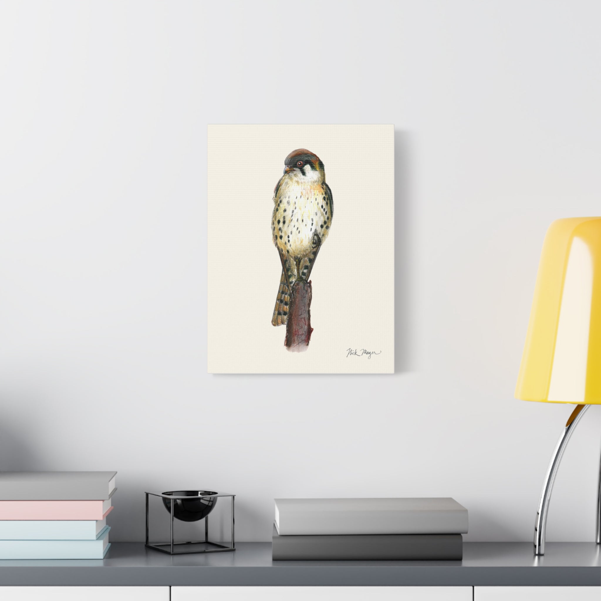 American Kestrel Canvas Print