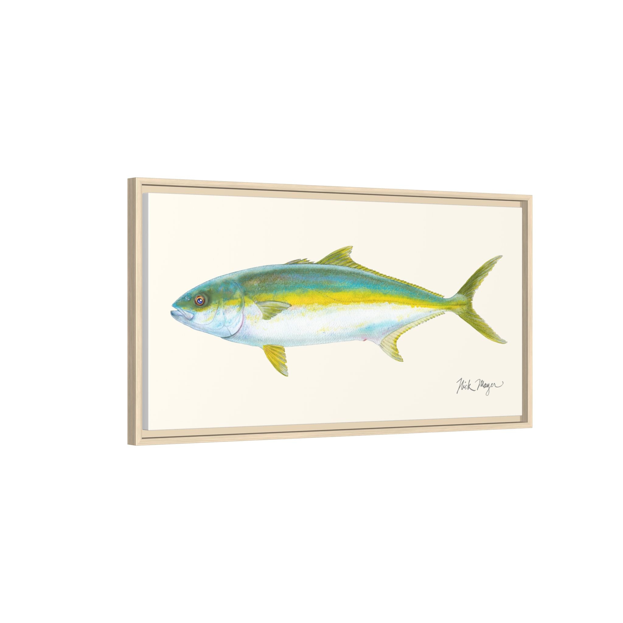 California Yellowtail I Framed Canvas Print Printify