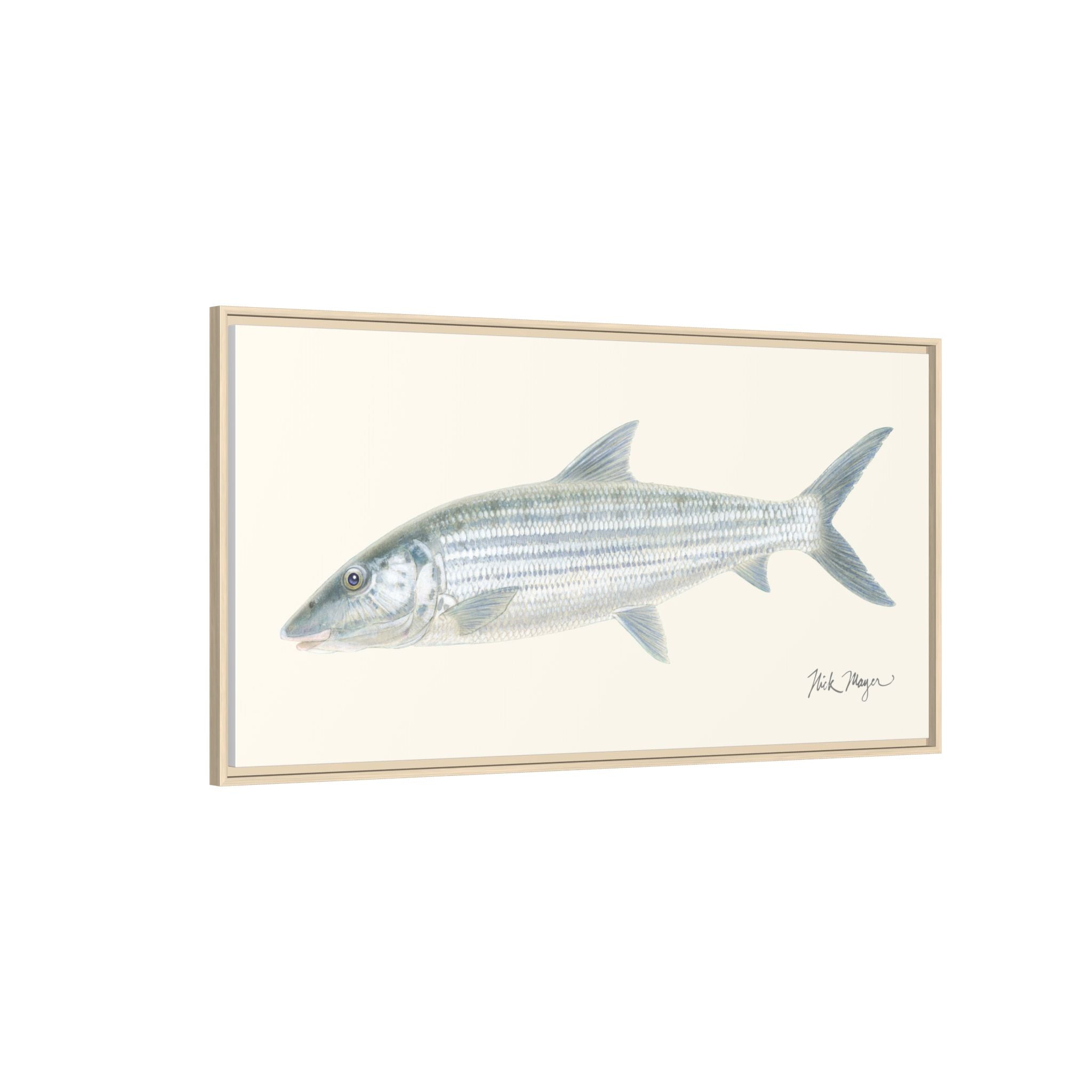 Bonefish Framed Canvas Print Printify