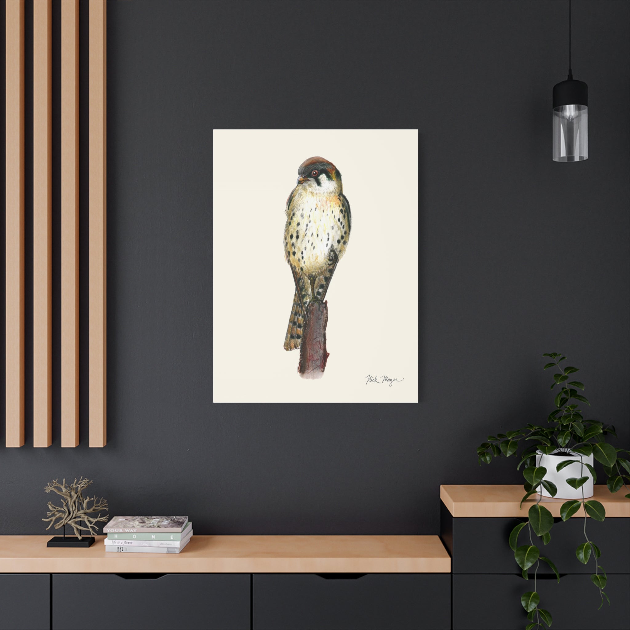 American Kestrel Canvas Print