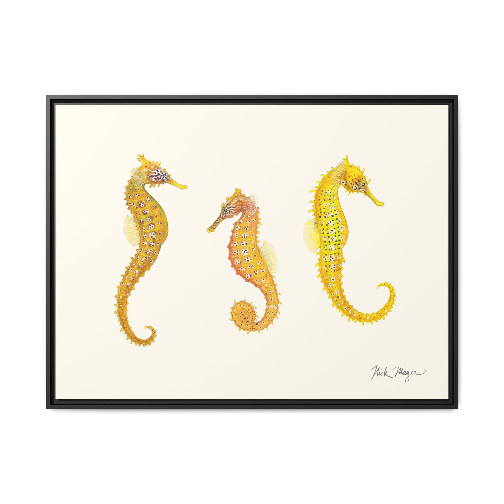 Giant Seahorse Trio Framed Canvas Print Printify
