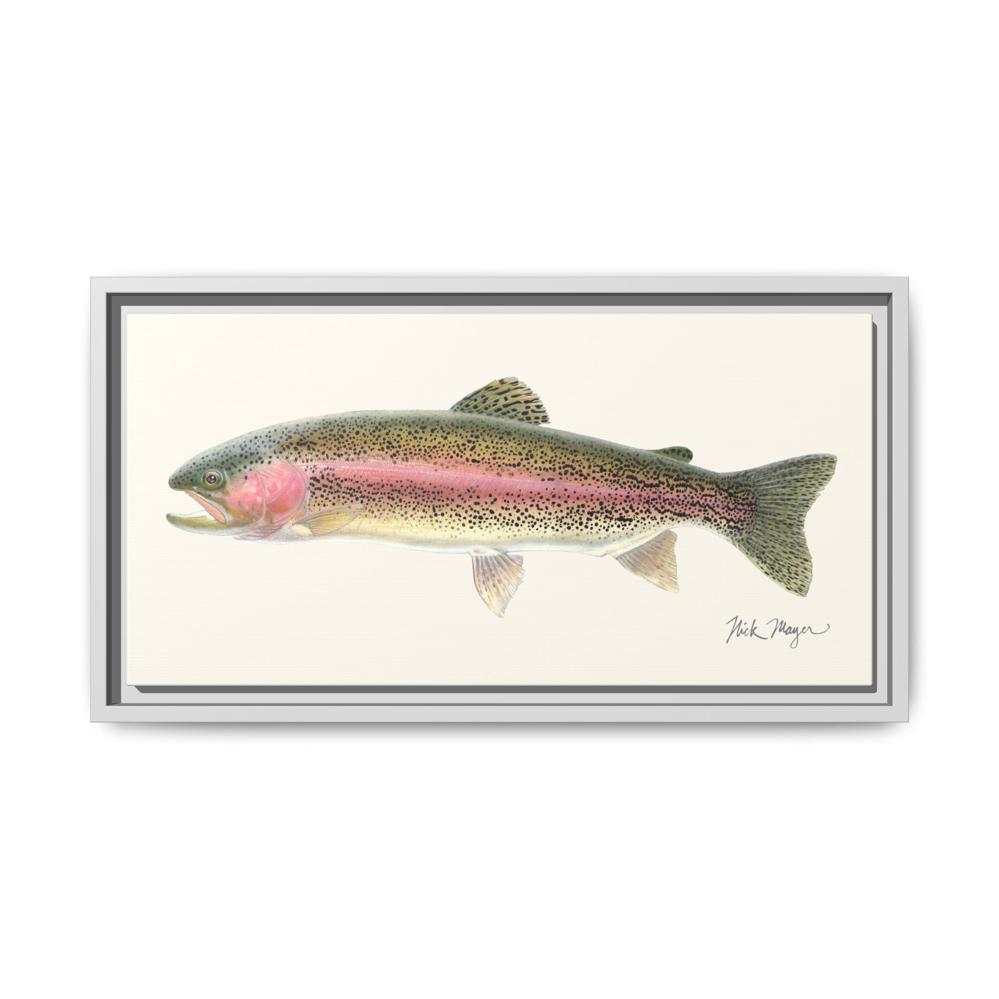 Rainbow Trout Framed Canvas Print Printify