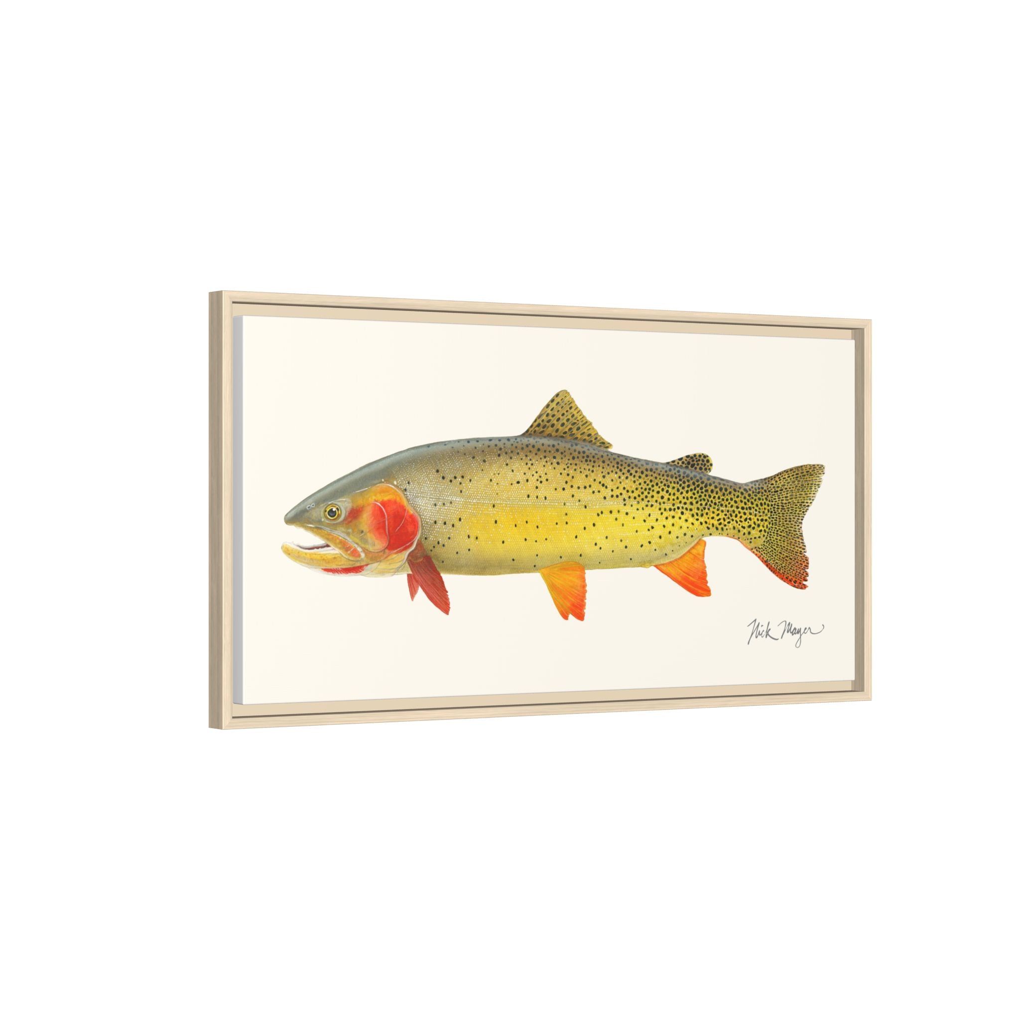 Cutthroat Trout I Framed Canvas Print Printify