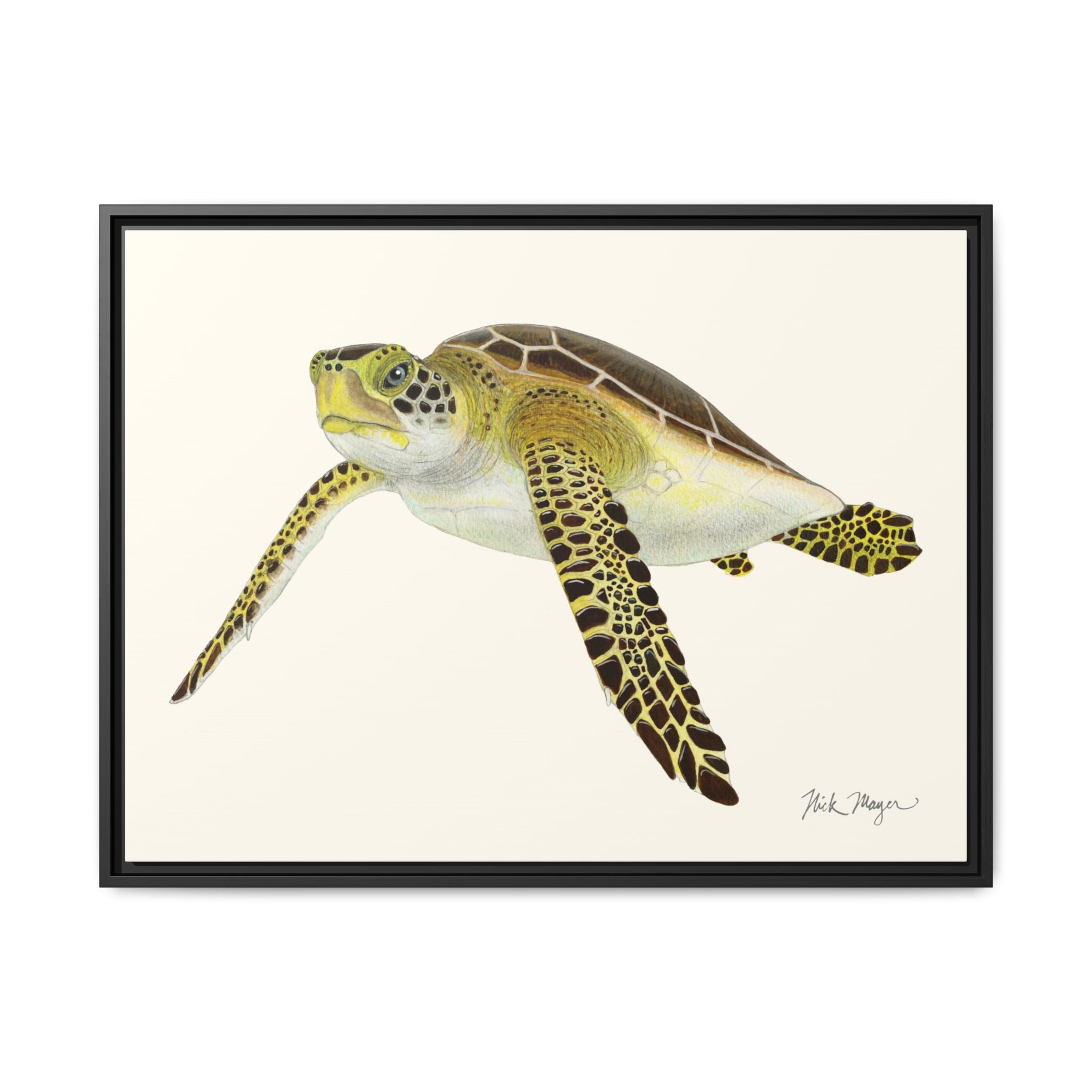 Green Sea Turtle III Framed Canvas Print Printify
