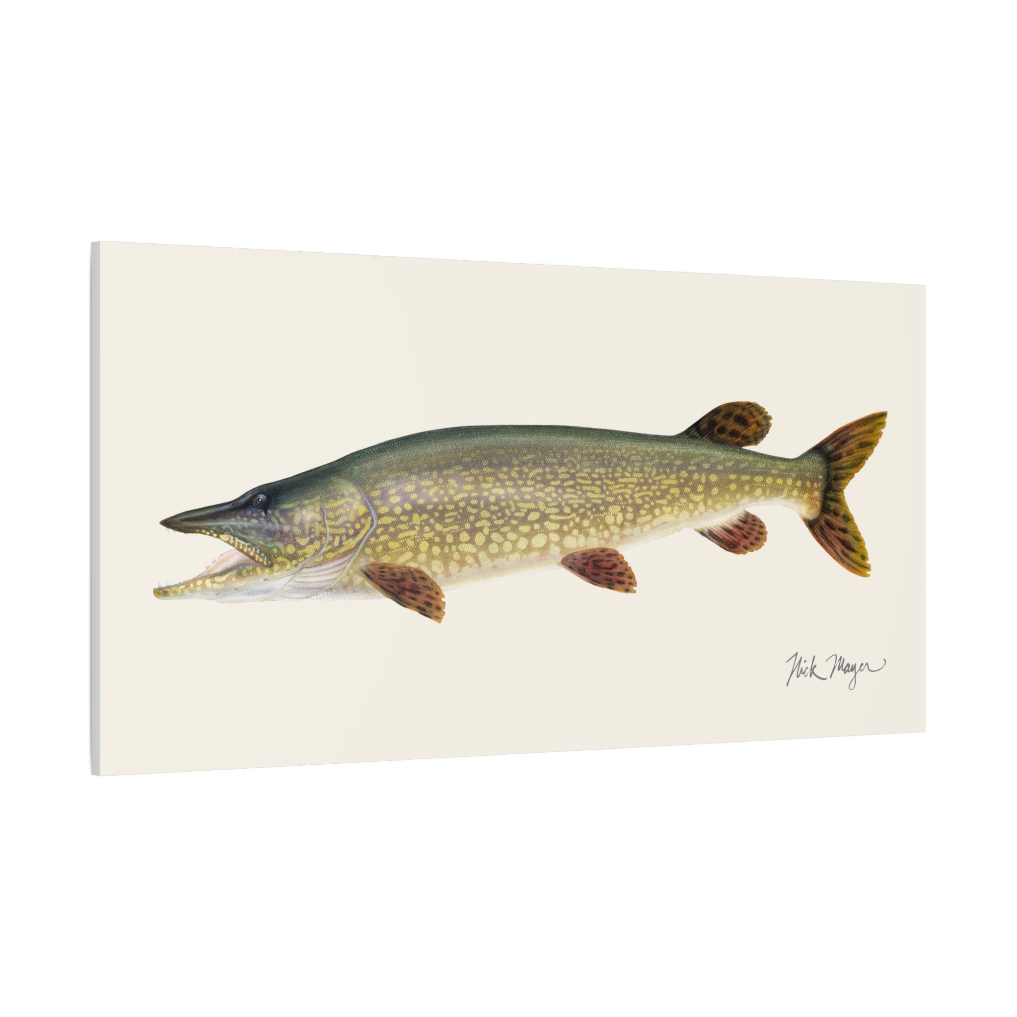 Northern Pike Canvas Print