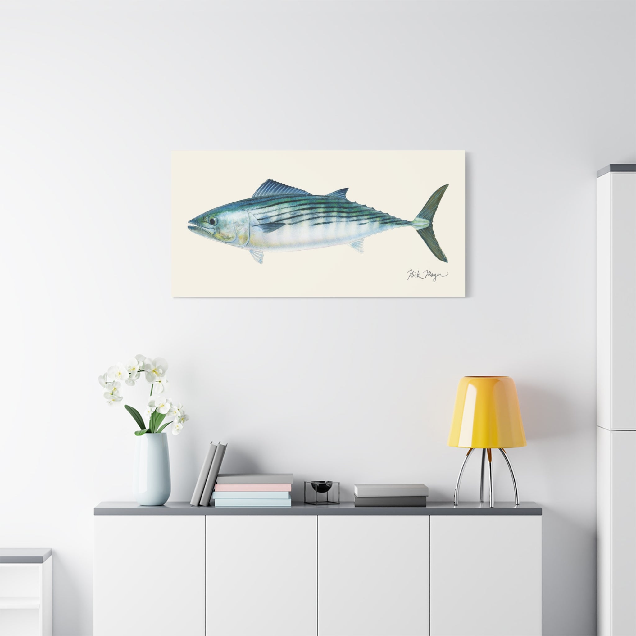 Bonito Canvas Print