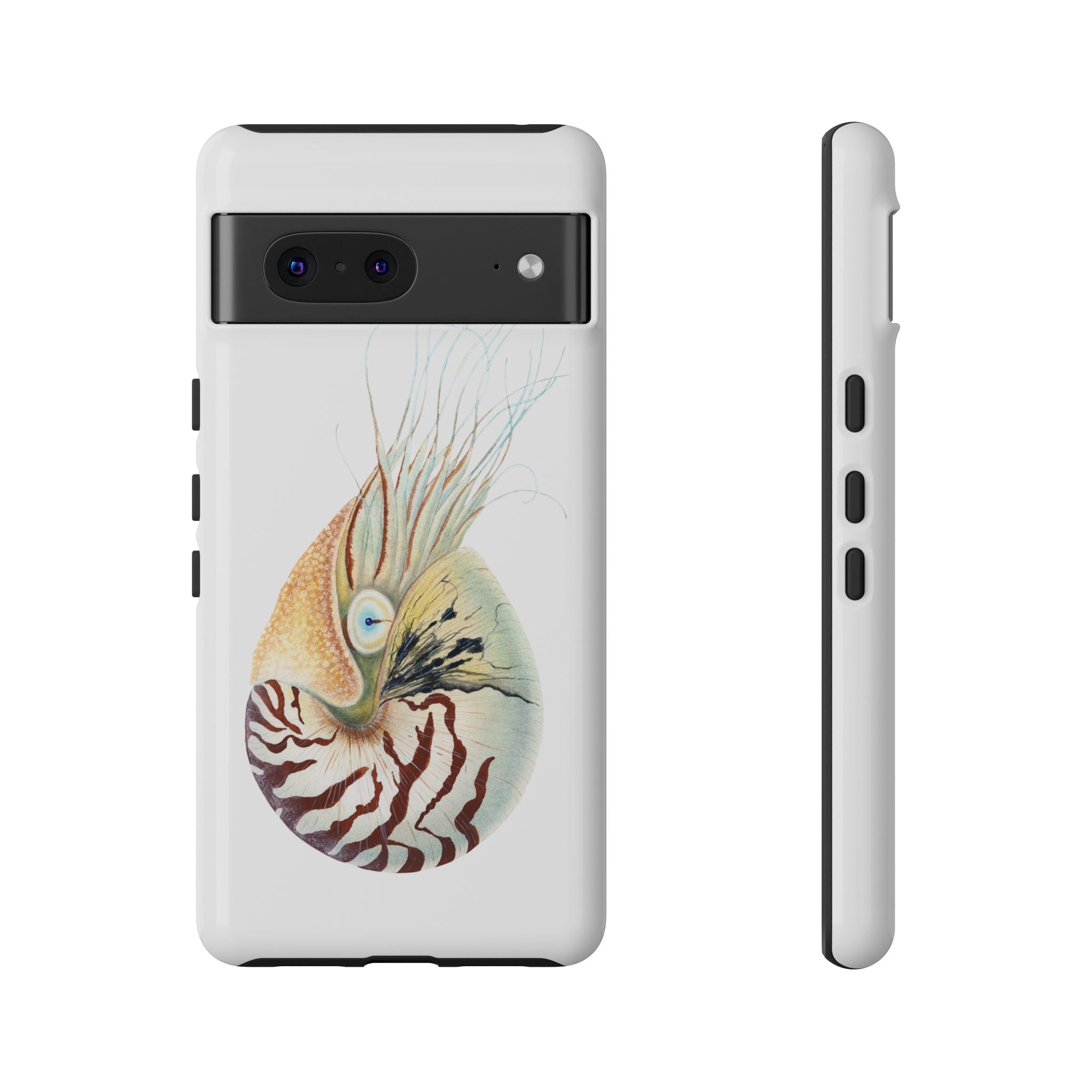 Chambered Nautilus Phone Case (Samsung) Printify