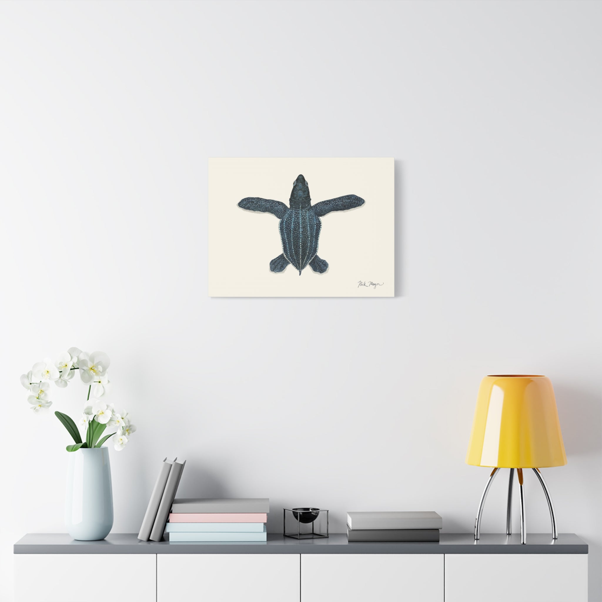 Hatchling Leatherback Sea Turtle Canvas Print