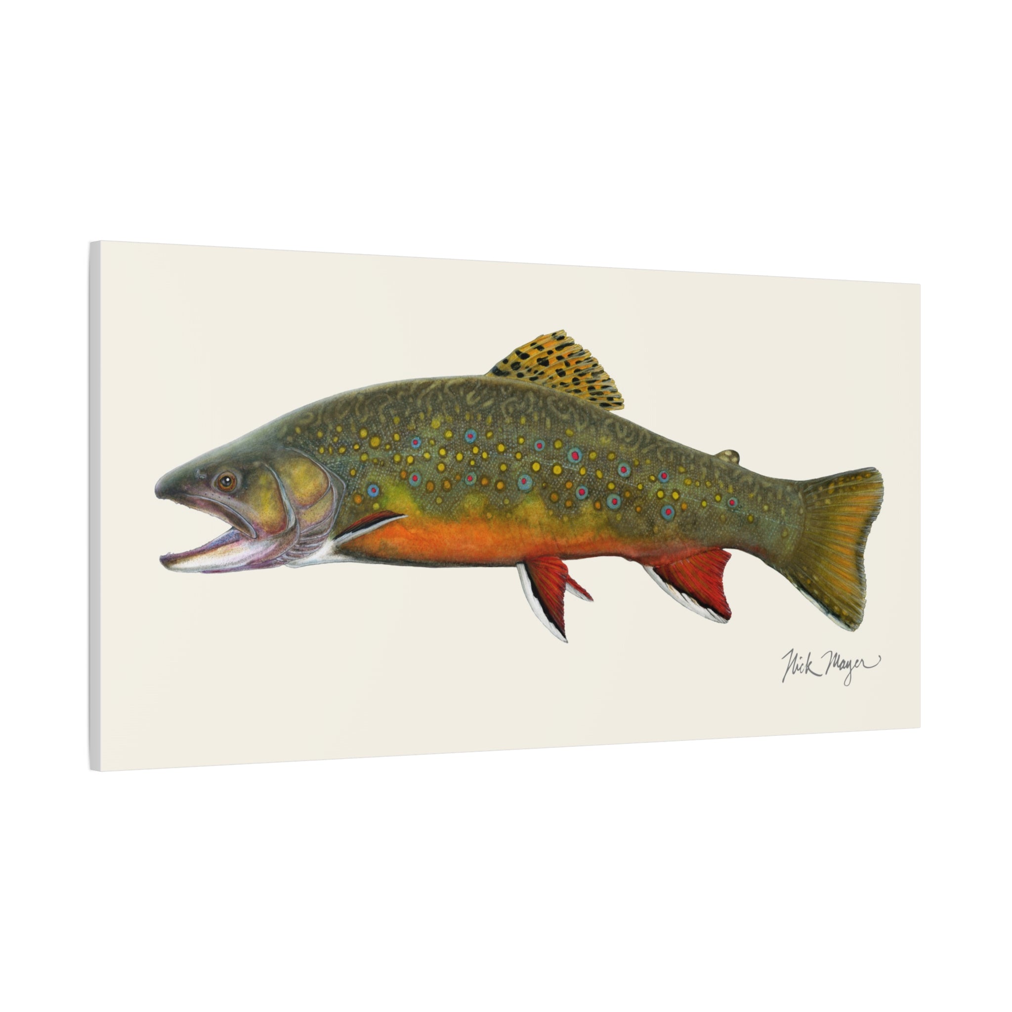 Beaver Pond Brook Trout Canvas Print