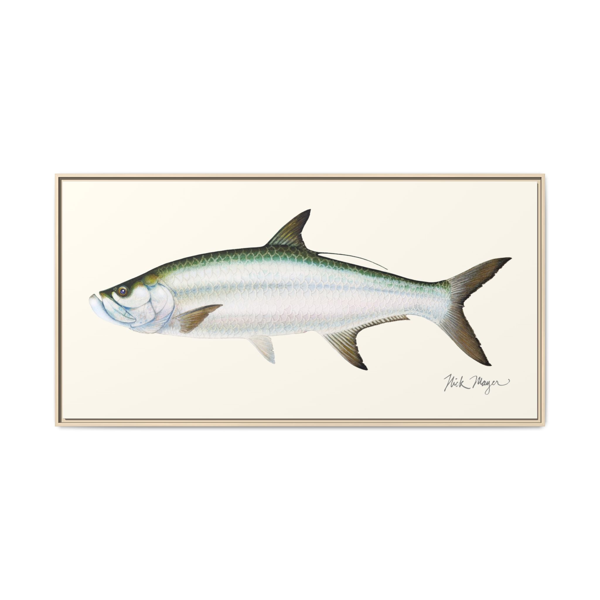 Tarpon Framed Canvas Print Printify