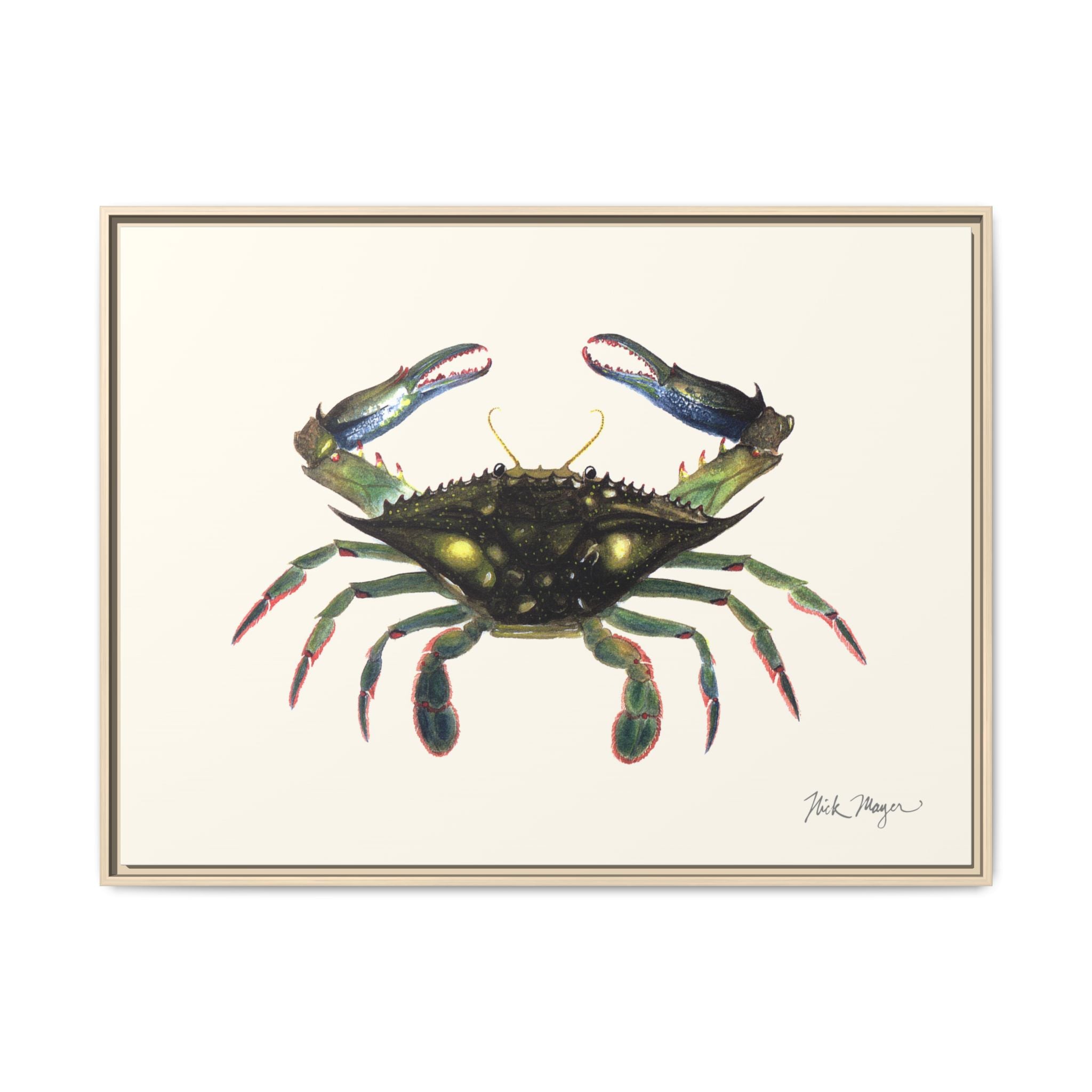 Blue Crab, Claws in Framed Canvas Print Printify