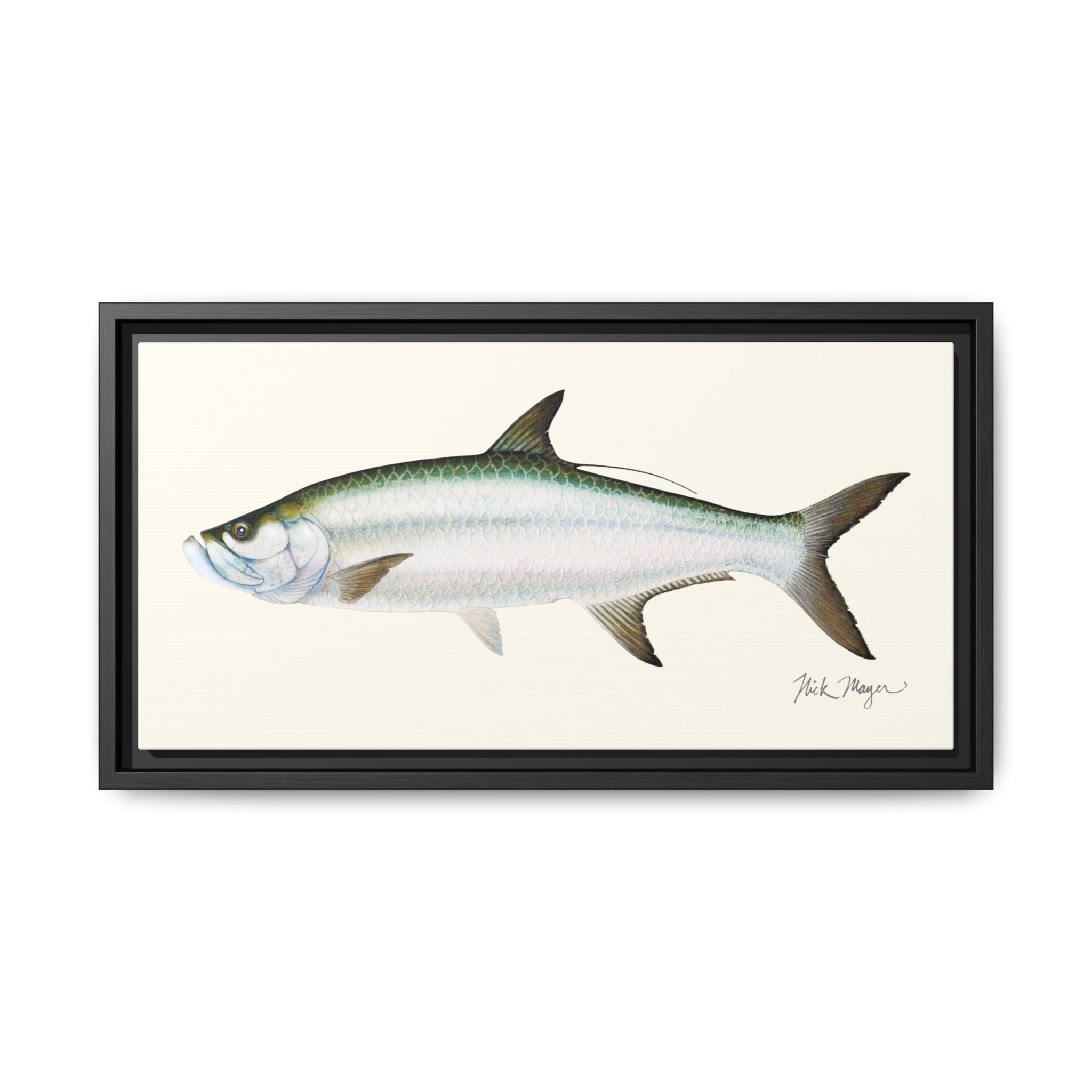 Tarpon Framed Canvas Print Printify