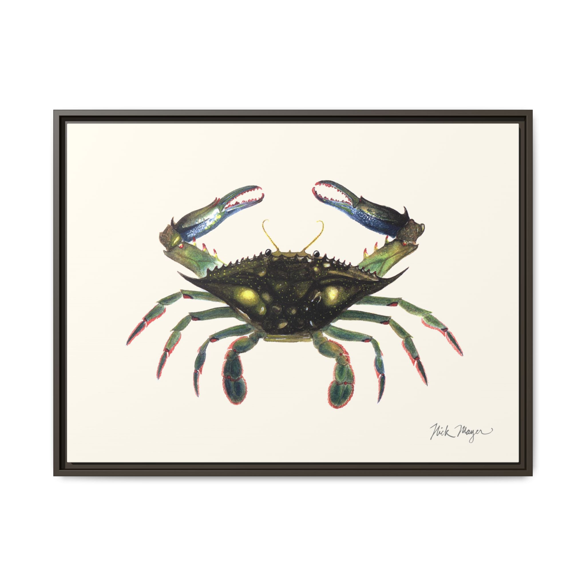 Blue Crab, Claws in Framed Canvas Print Printify