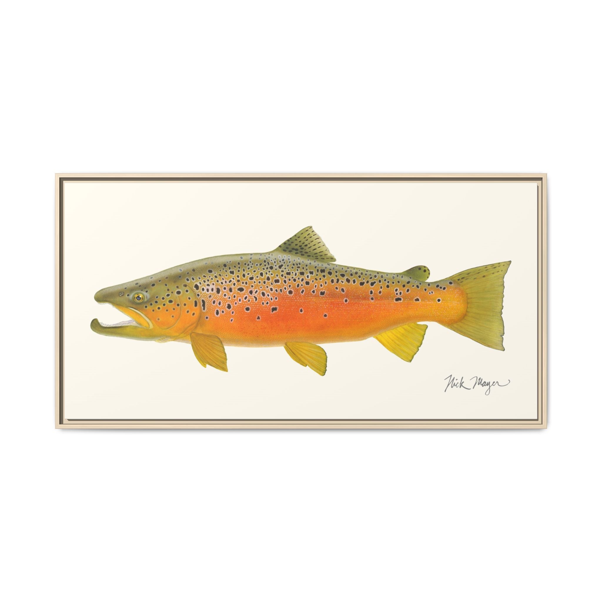 Brown Trout II Framed Canvas Print Printify