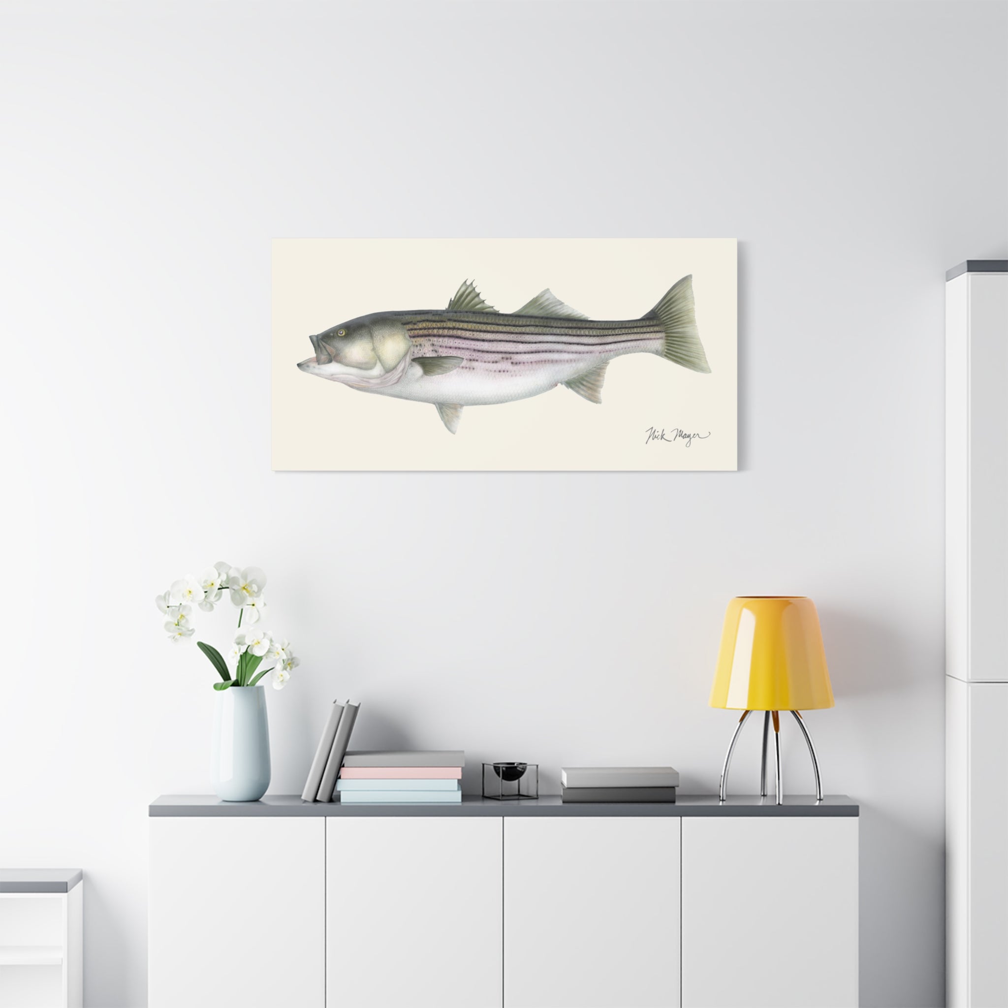Striped Bass, 30 lbs Canvas Print