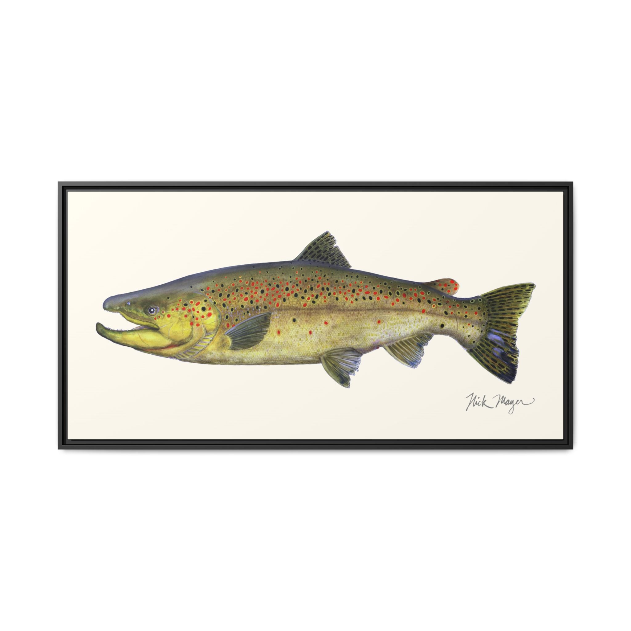Brown Trout I Framed Canvas Print Printify