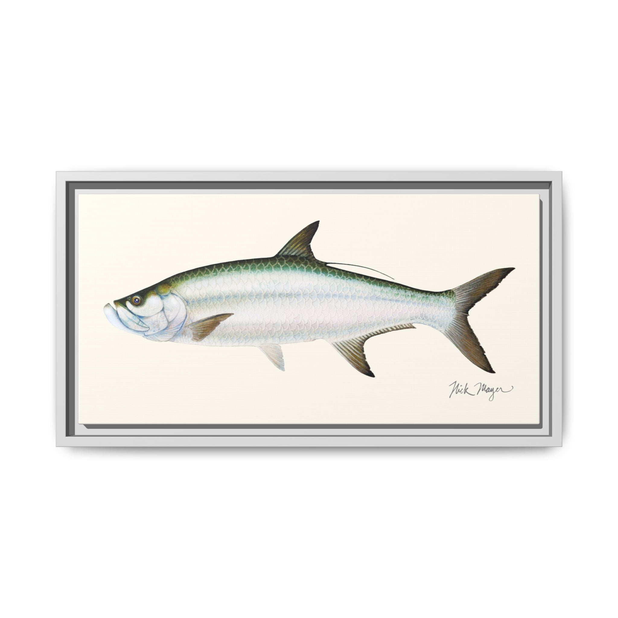 Tarpon Framed Canvas Print Printify