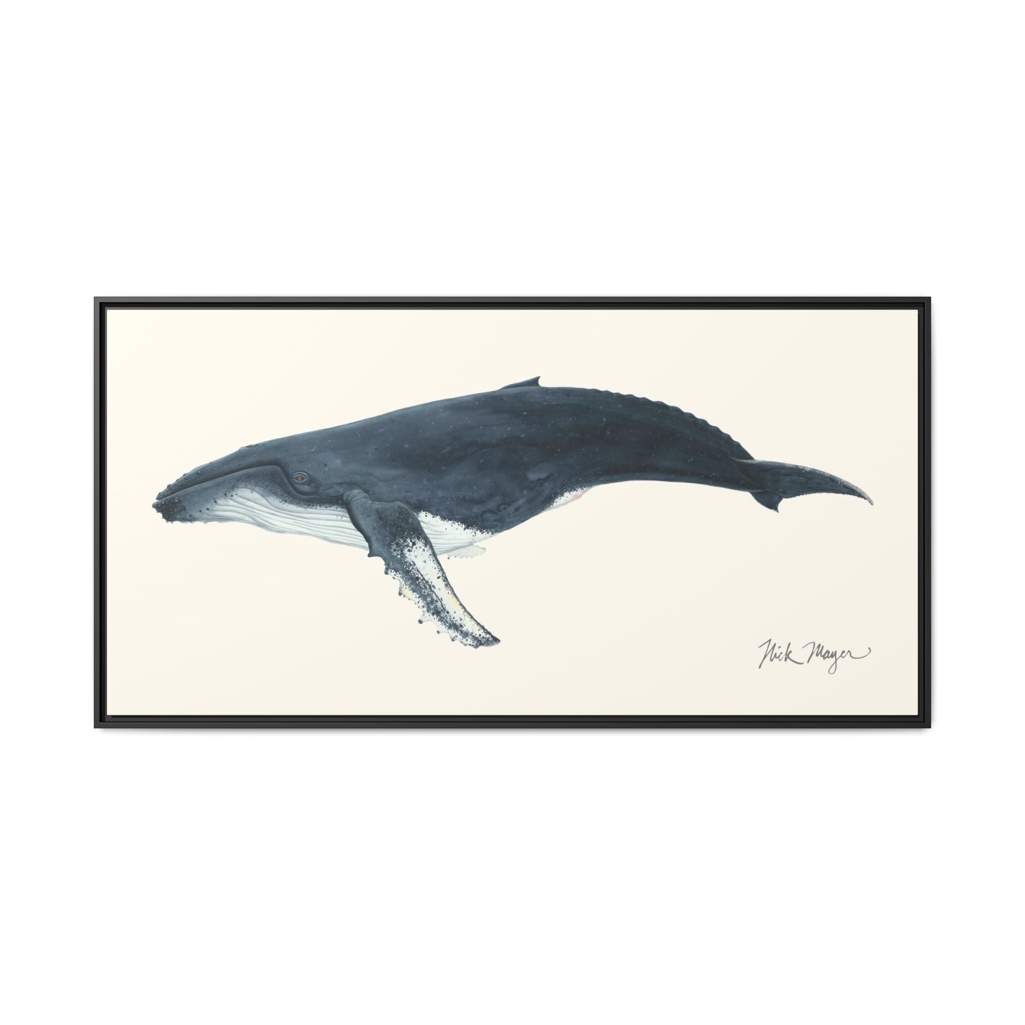 Humpback Whale Framed Canvas Print Printify