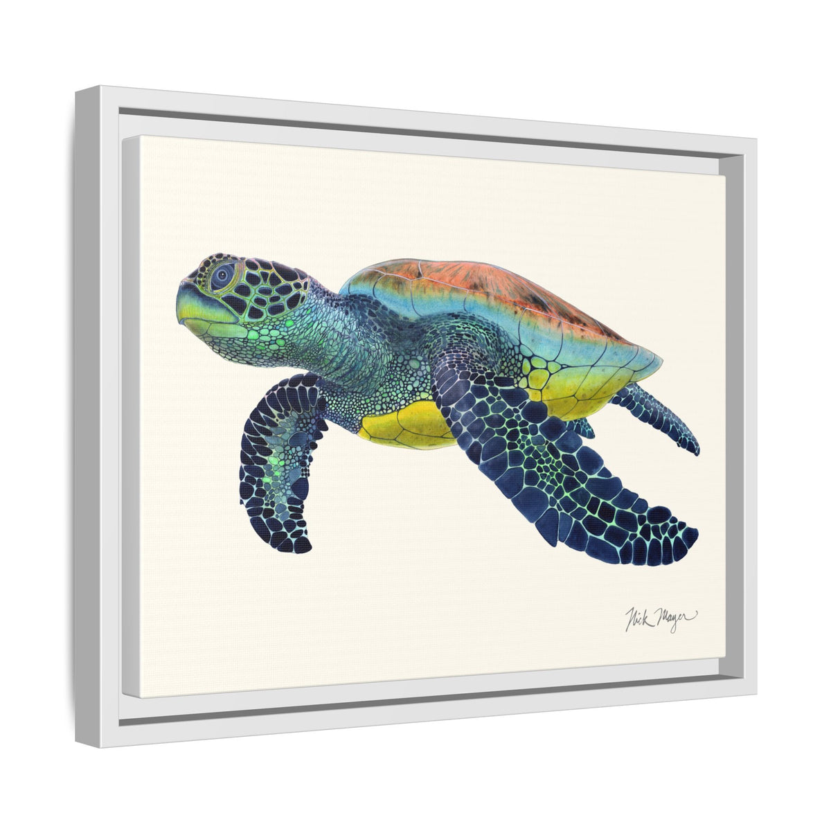 Green Sea Turtle II Framed Canvas Print Printify