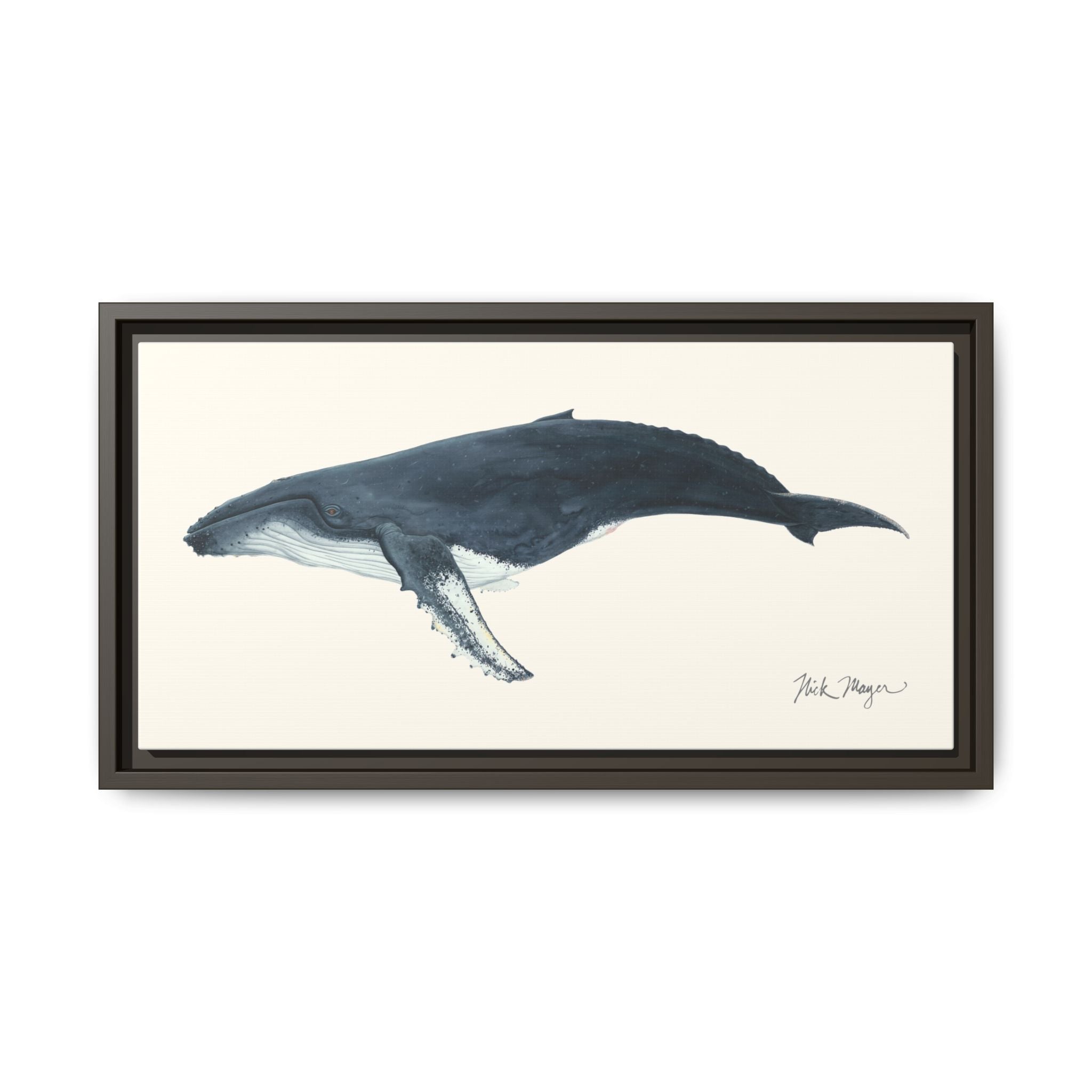 Humpback Whale Framed Canvas Print Printify