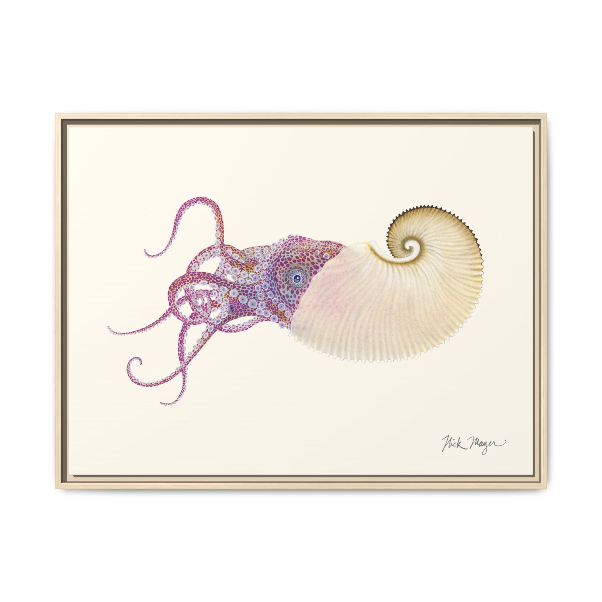 Paper Nautilus Framed Canvas Print Printify