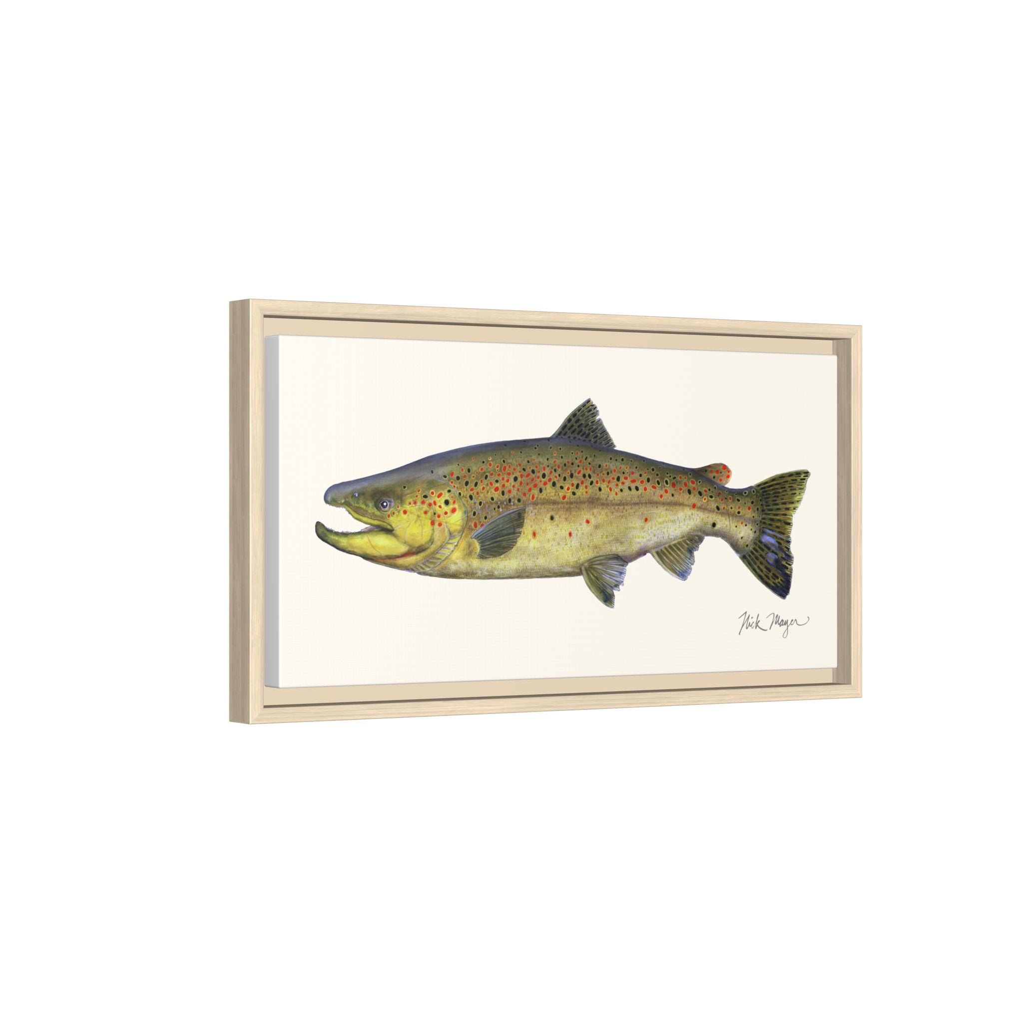 Brown Trout I Framed Canvas Print Printify