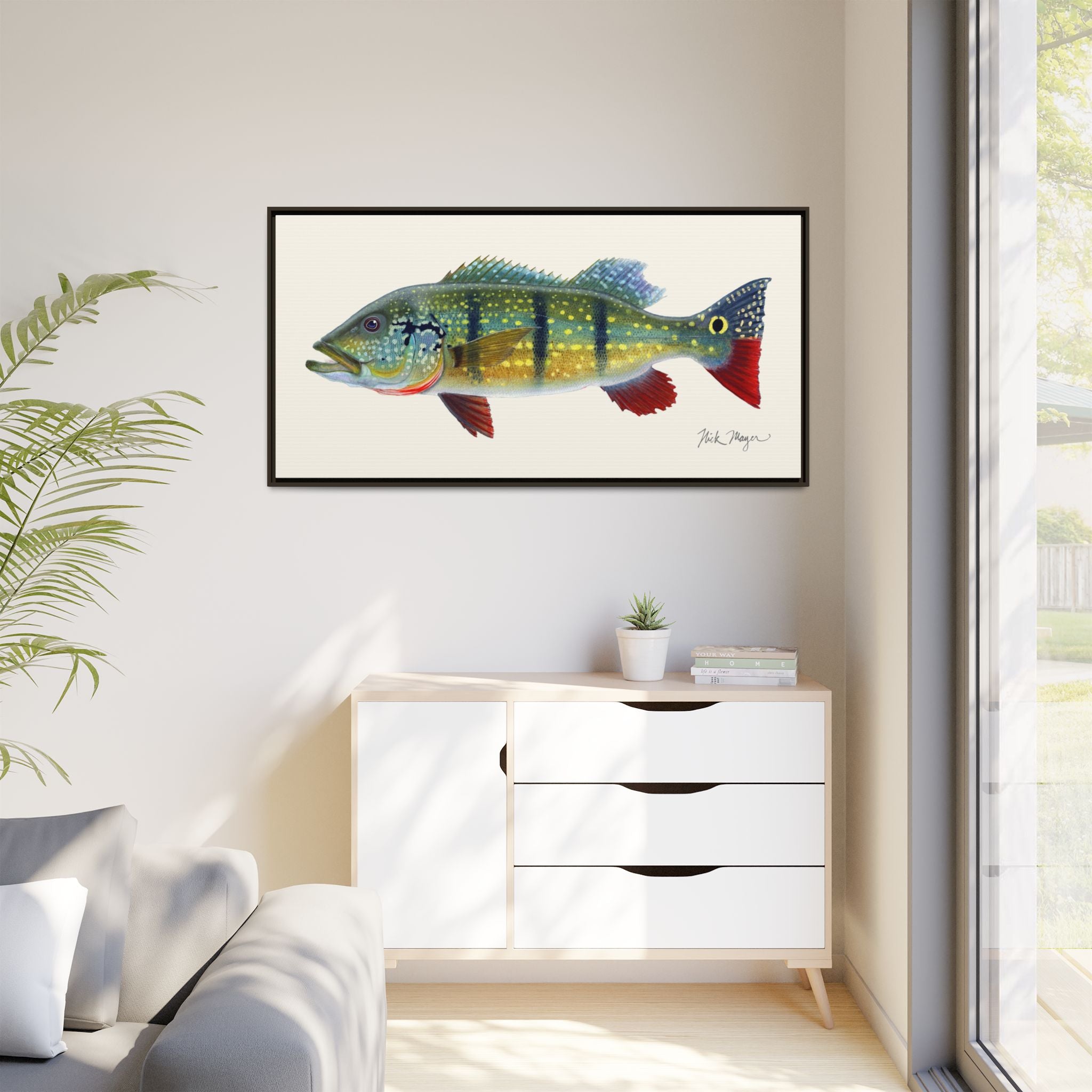 Peacock Bass Framed Canvas Print Printify