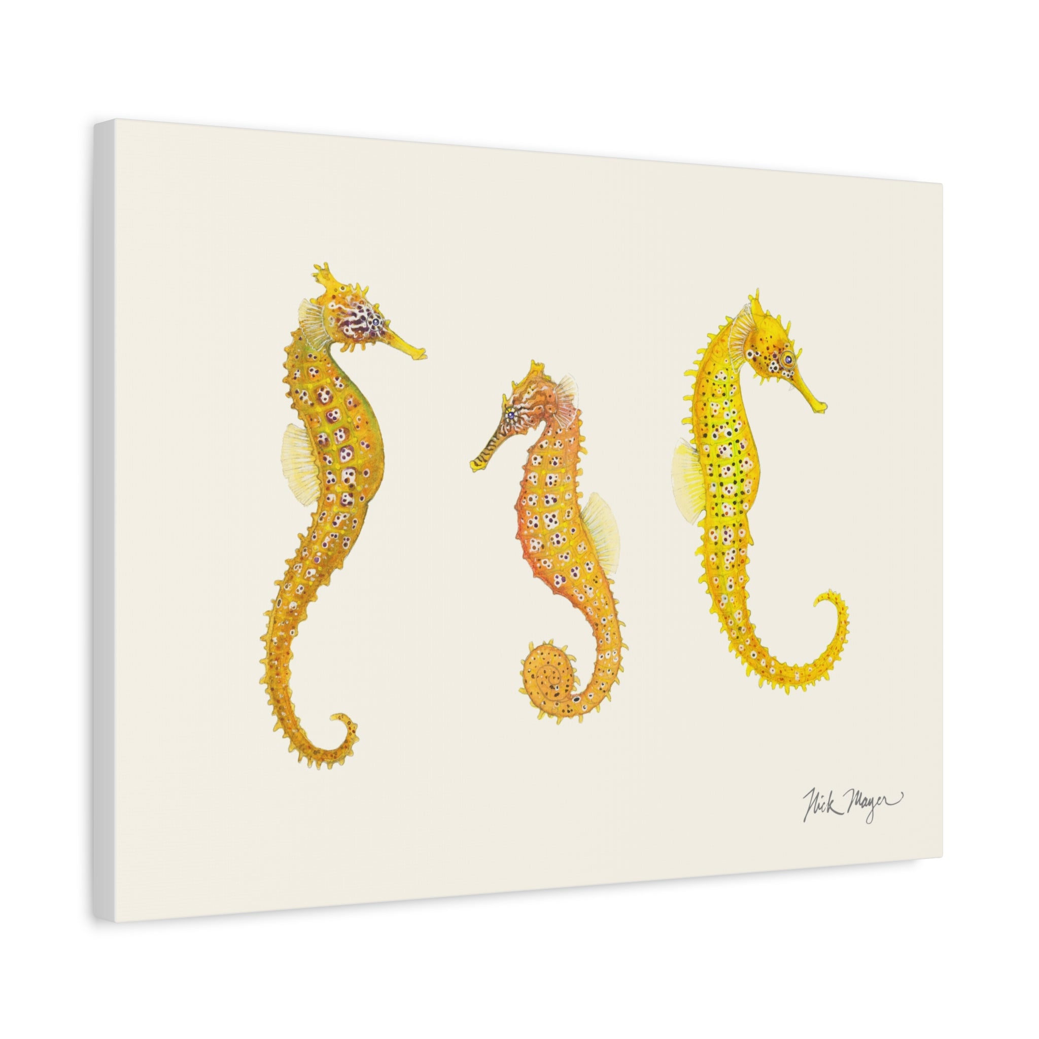 Giant Seahorse Trio Canvas Print