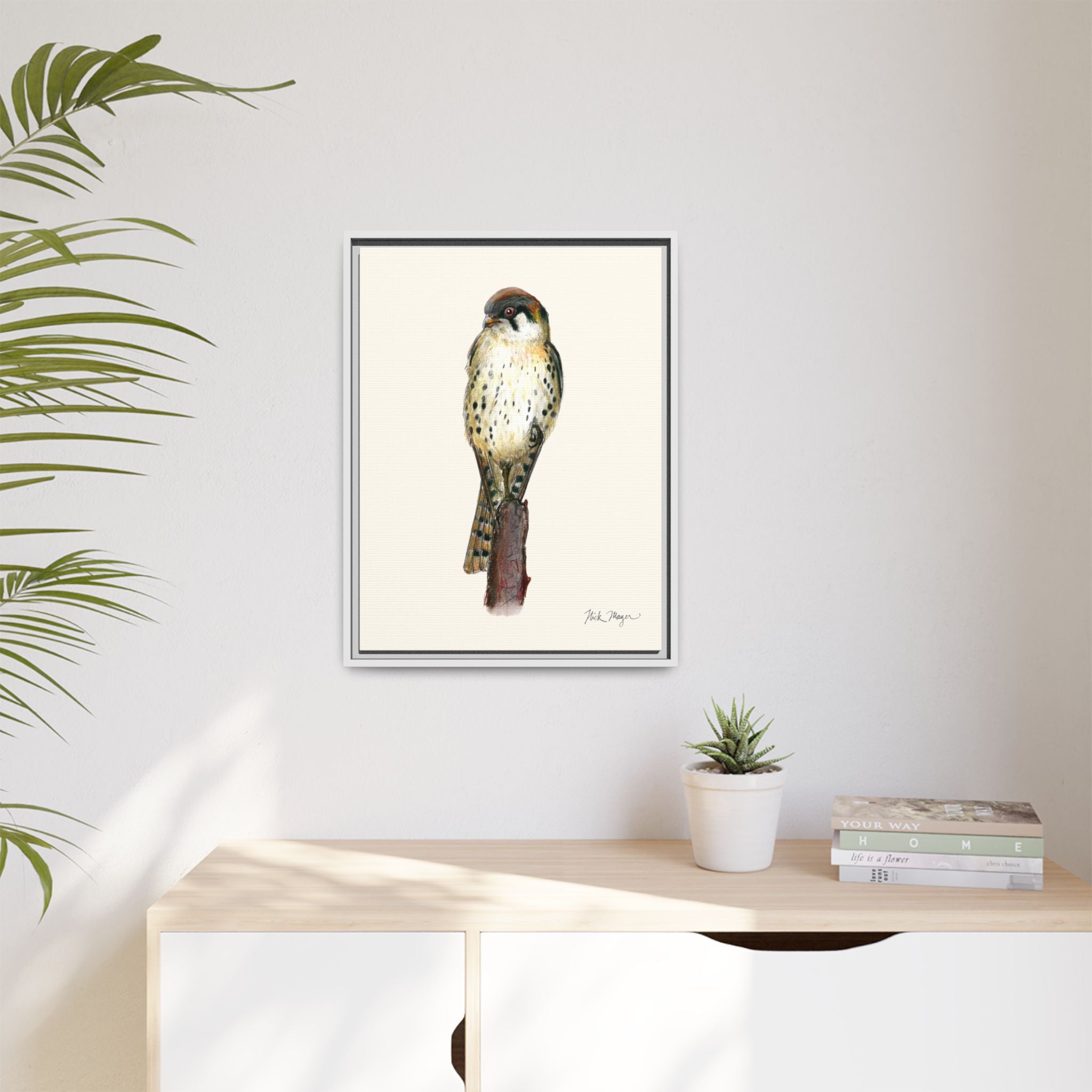 American Kestrel Framed Canvas Print Printify