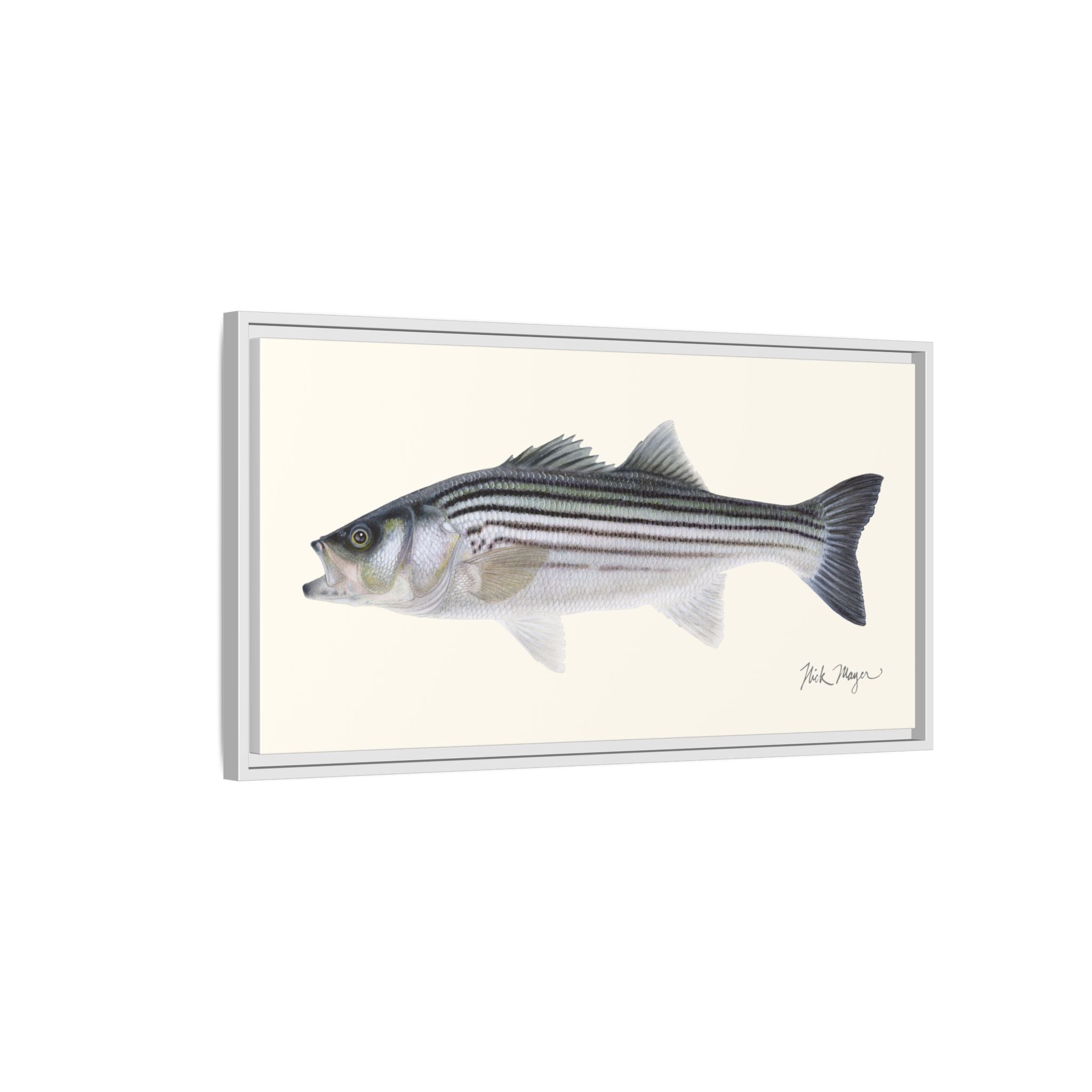 Schoolie Striped Bass Framed Canvas Print Printify