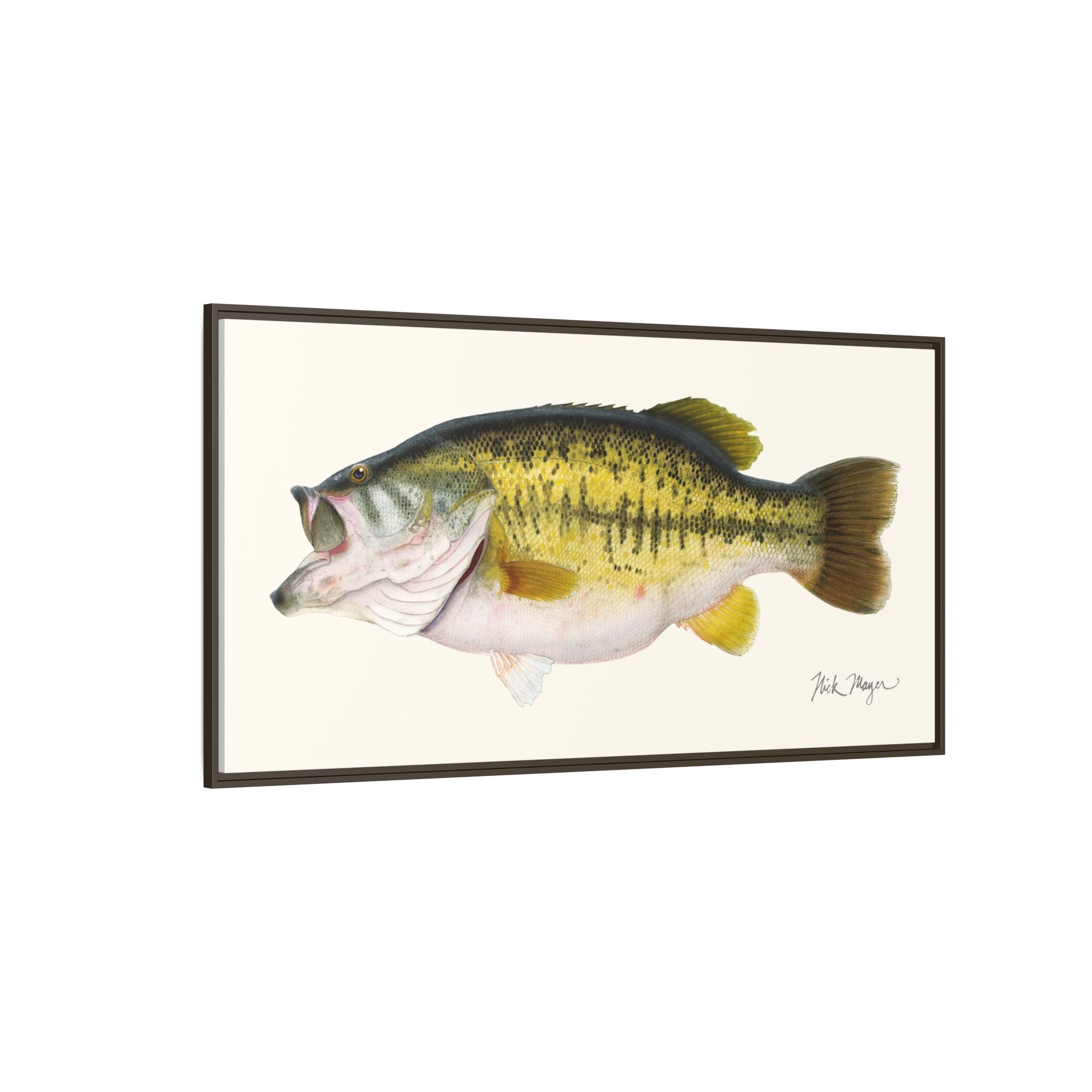 Largemouth Bass II Framed Canvas Print