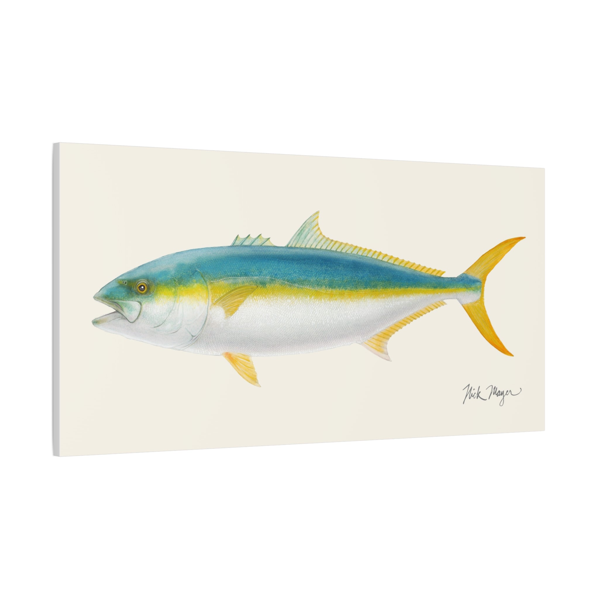 Yellowtail II Canvas Print
