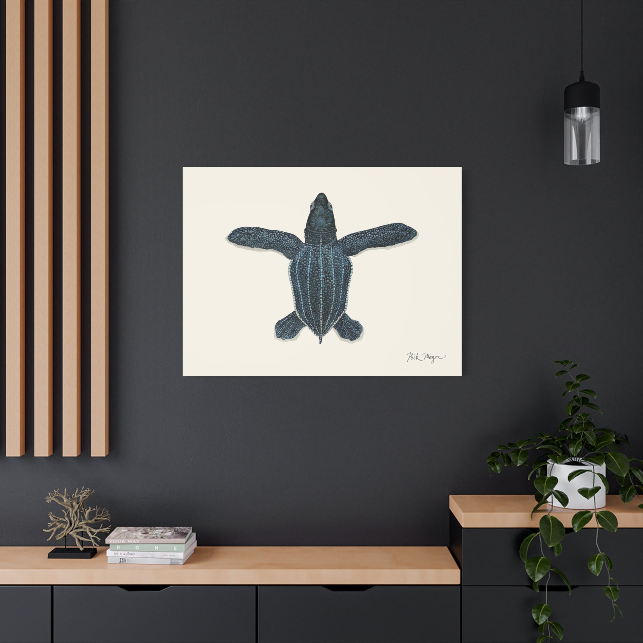 Hatchling Leatherback Sea Turtle Canvas Print