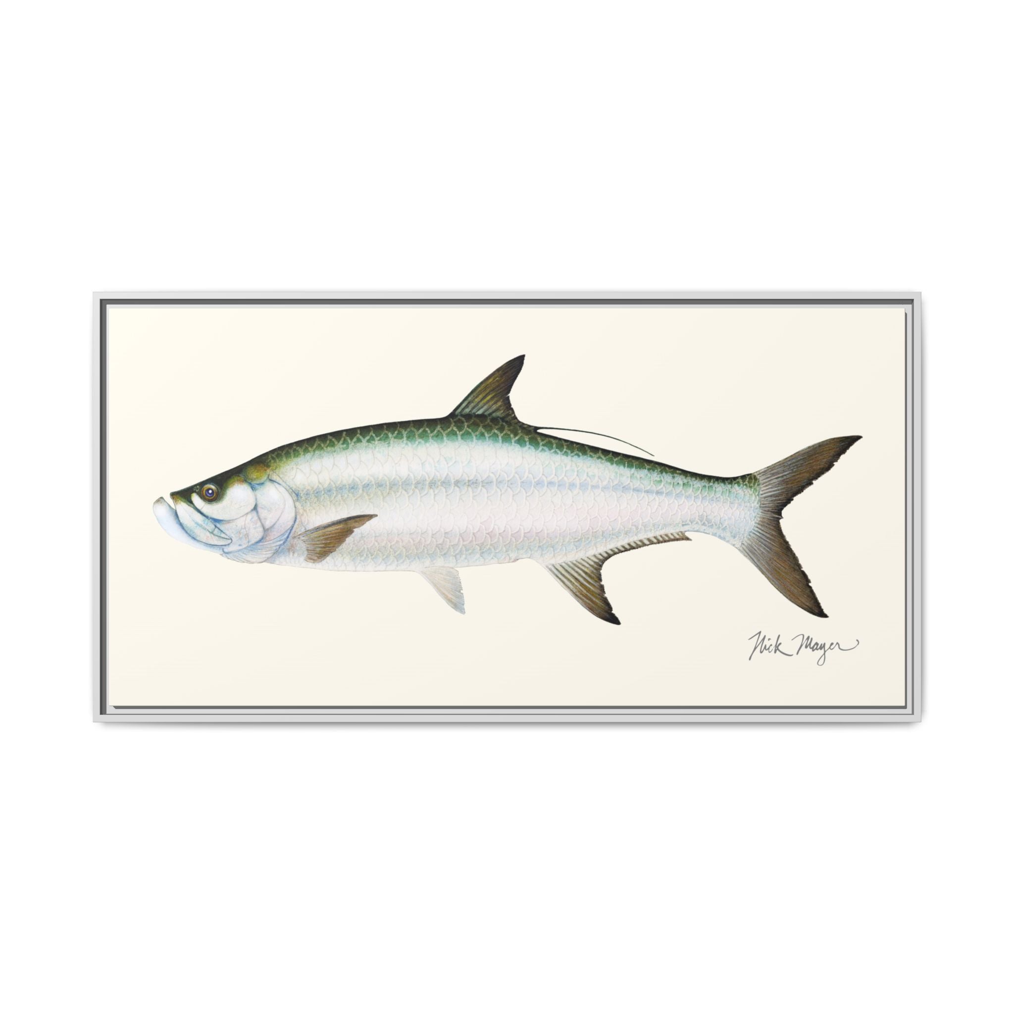 Tarpon Framed Canvas Print Printify
