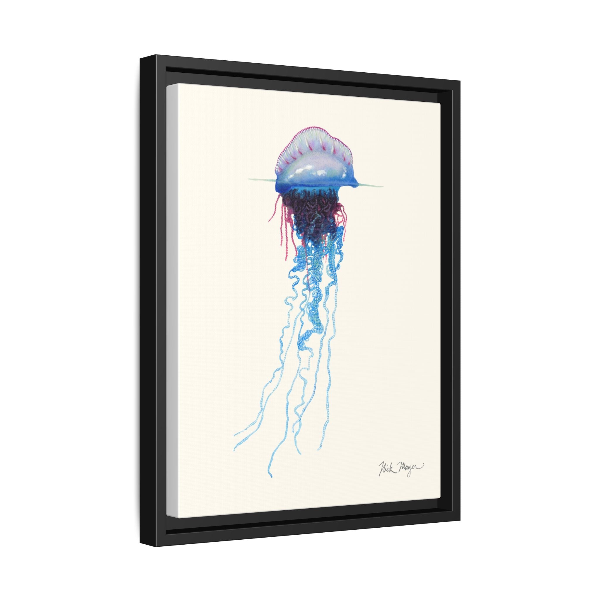 Portuguese Man O' War Framed Canvas Print Printify