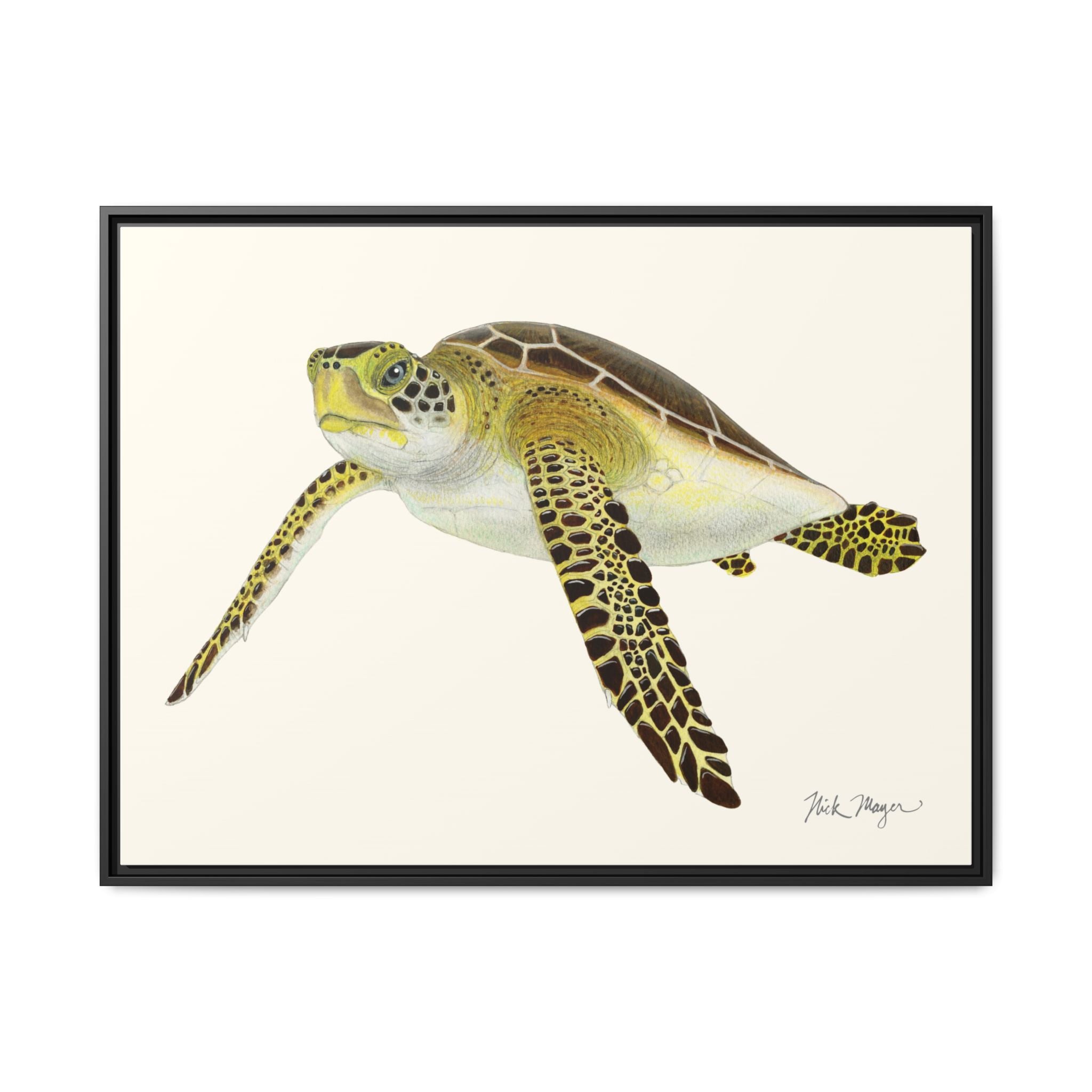 Green Sea Turtle III Framed Canvas Print Printify