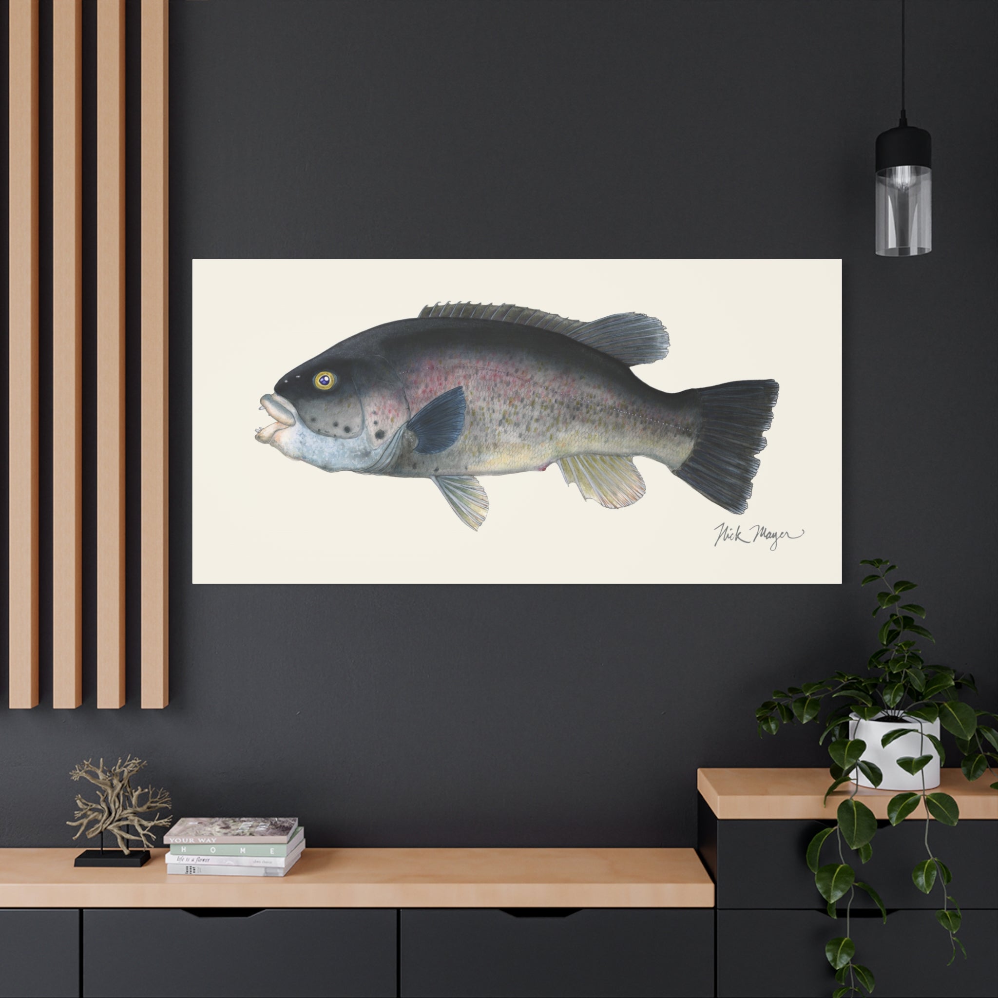 Tautog Canvas Print