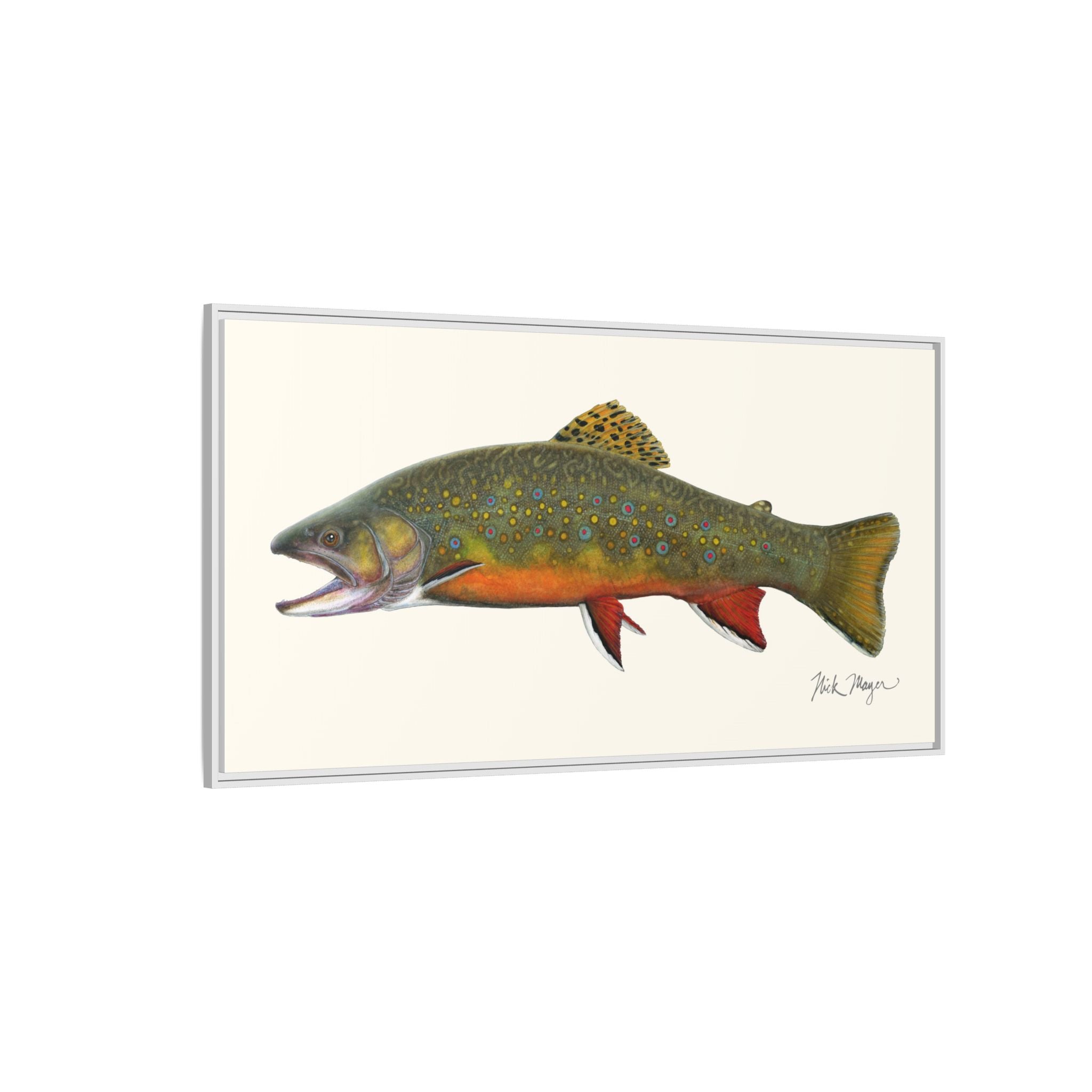 Beaver Pond Brook Trout Framed Canvas Print Printify