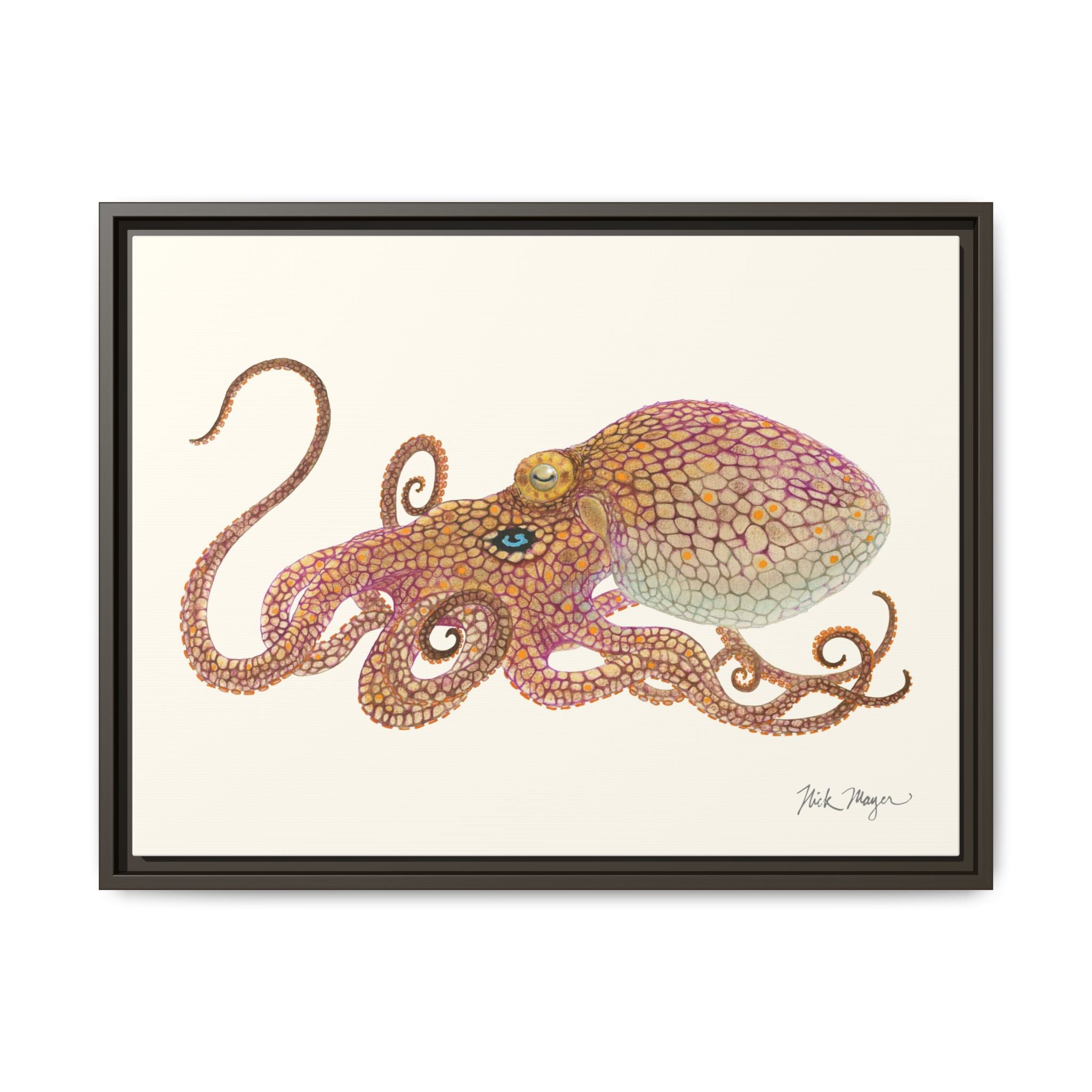 Two Spot Octopus Framed Canvas Print