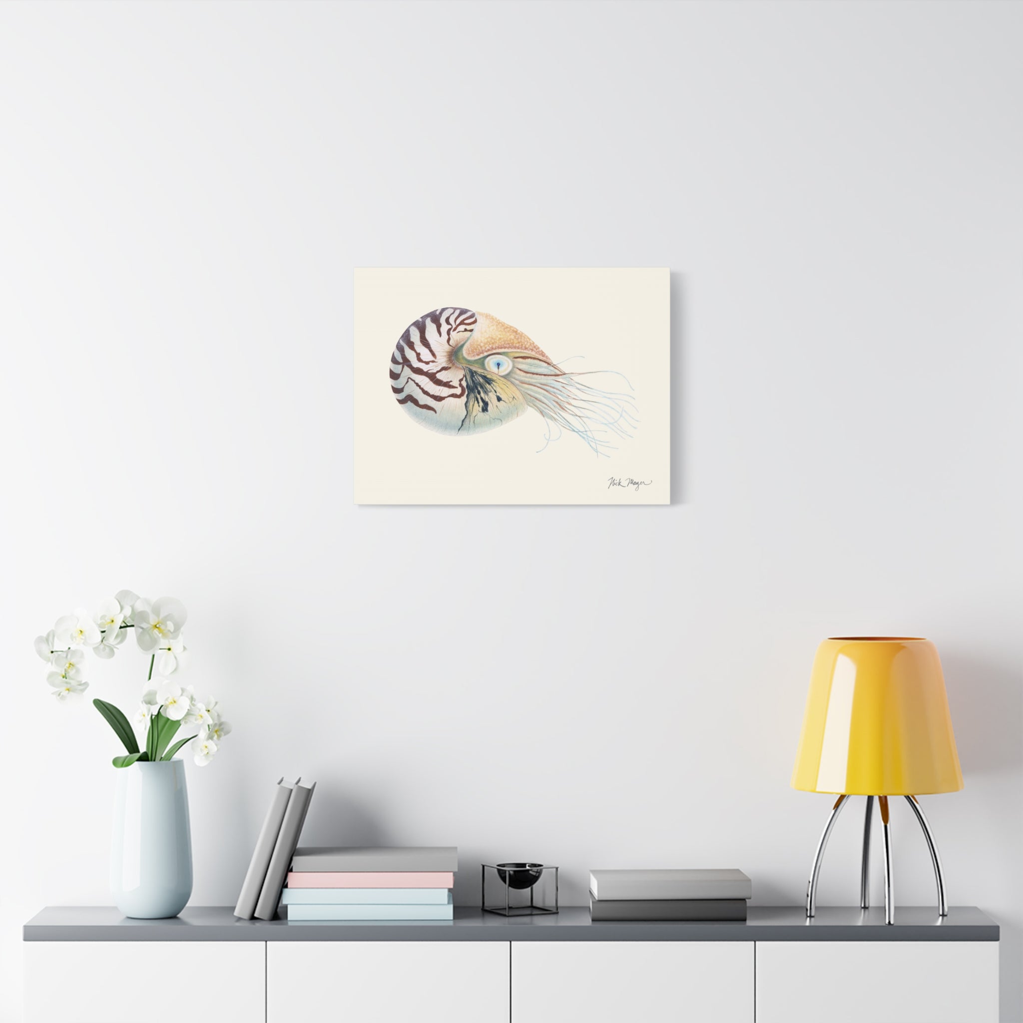 Chambered Nautilus Canvas Print