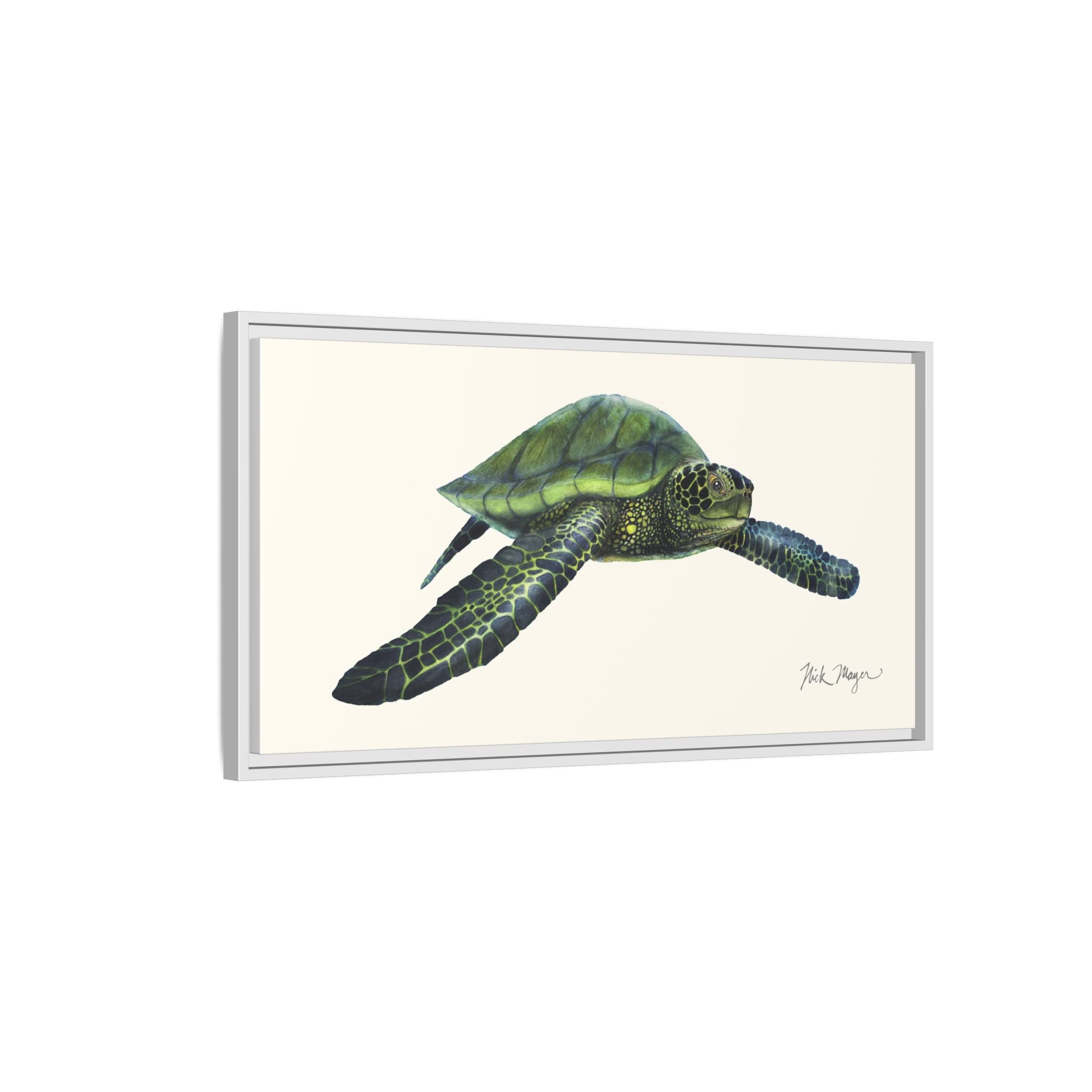 Green Sea Turtle I Framed Canvas Print Printify