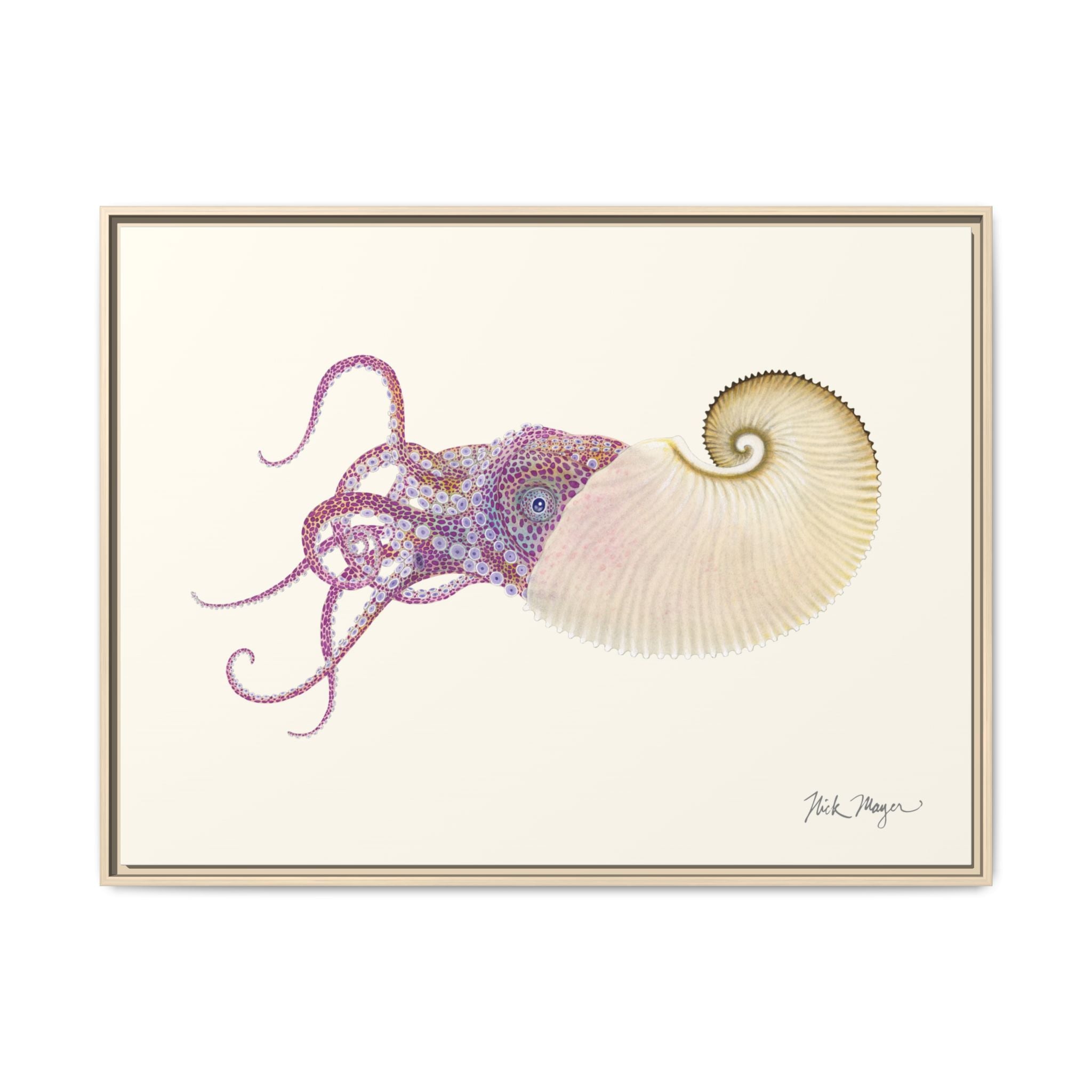 Paper Nautilus Framed Canvas Print Printify