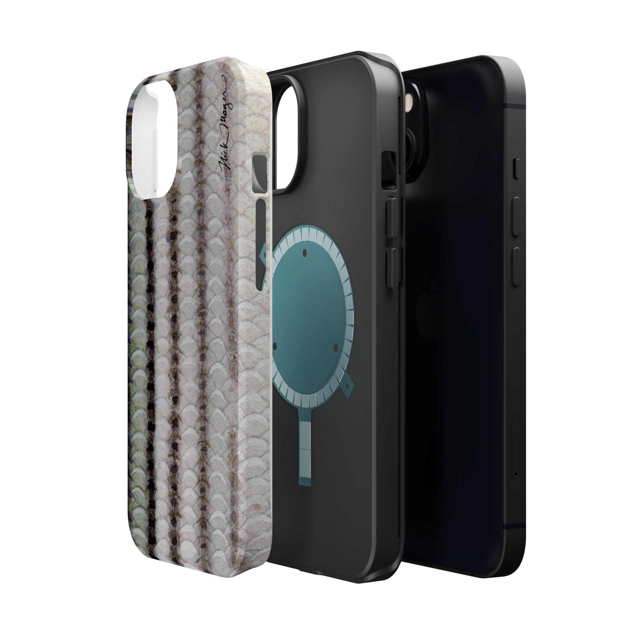 Striper Skin MagSafe iPhone Case
