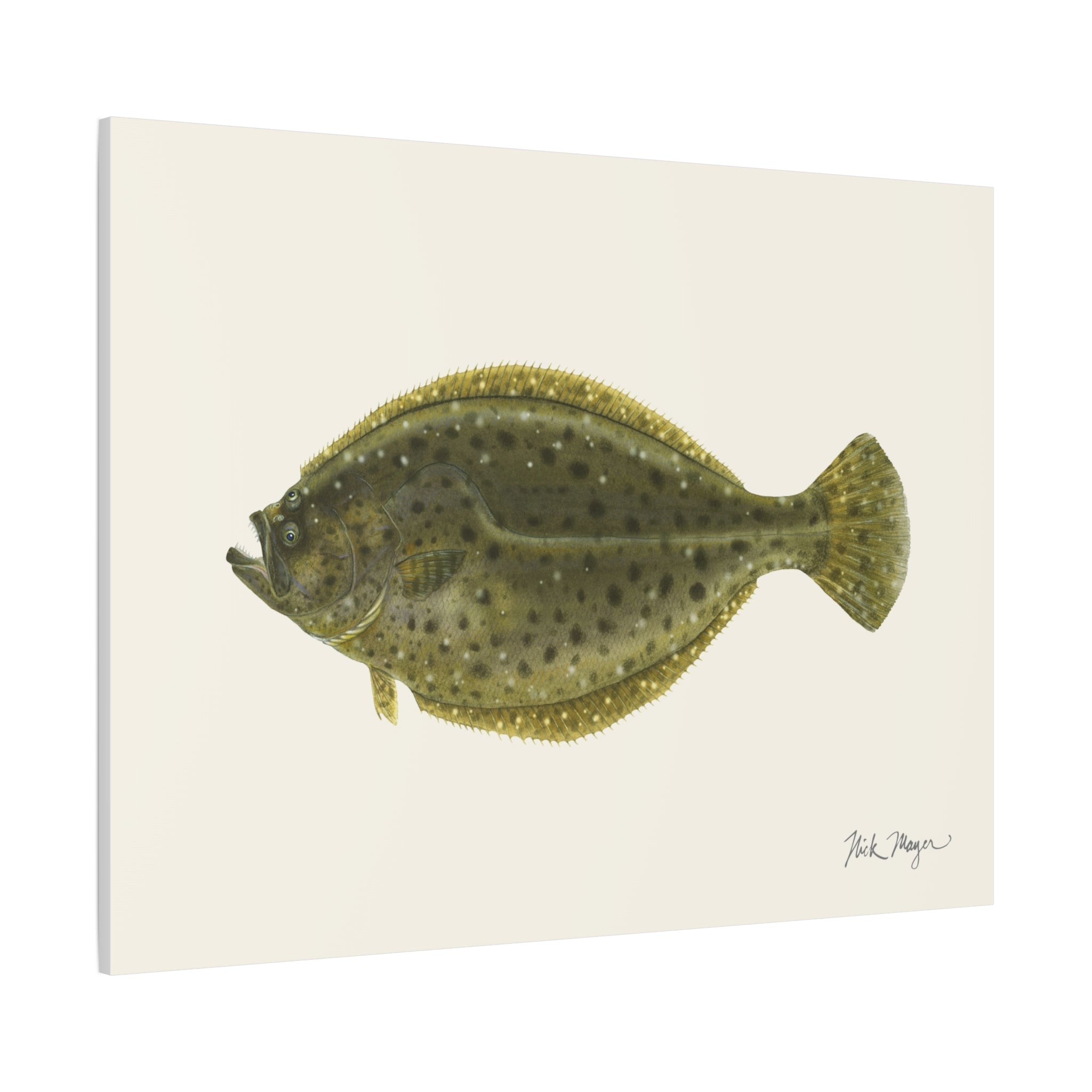 Fluke Canvas Print