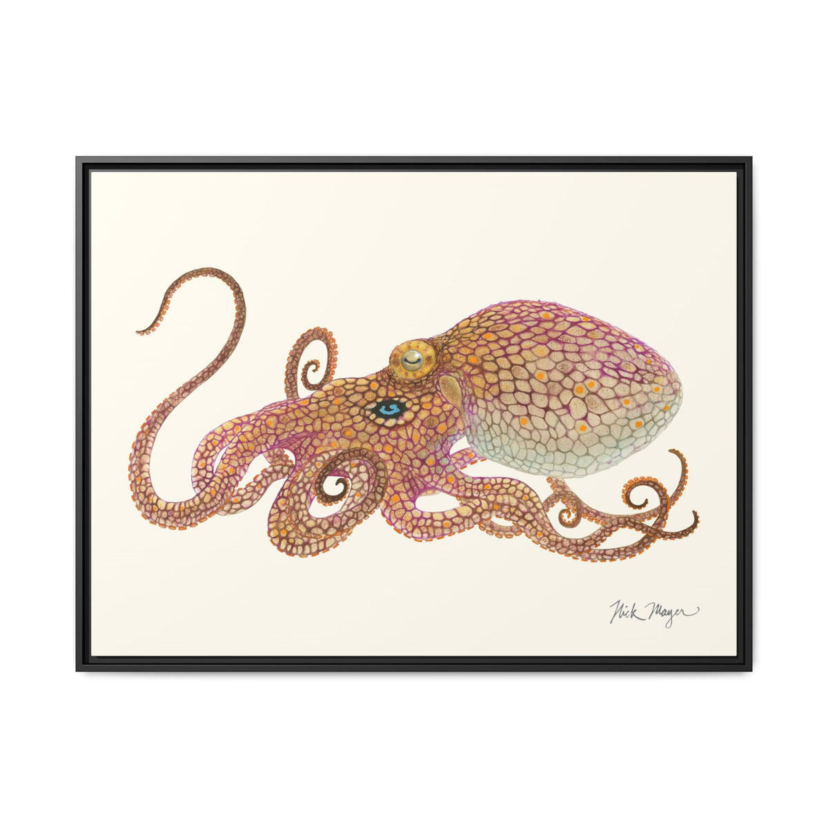 Two Spot Octopus Framed Canvas Print Printify