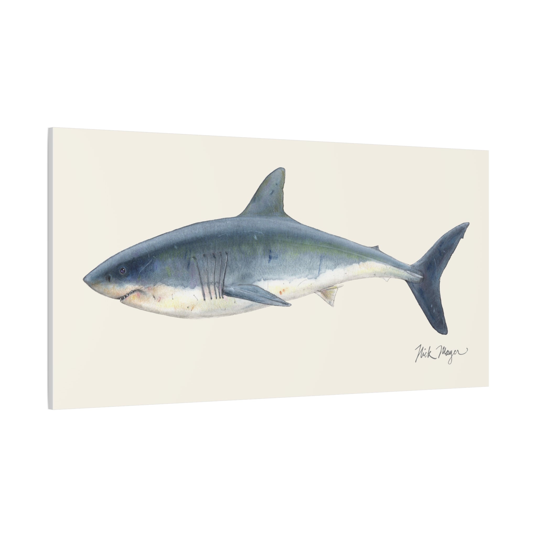 Great White Shark Canvas Print